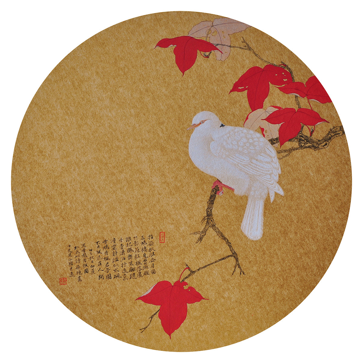 White Pigeon on a Maple Branch