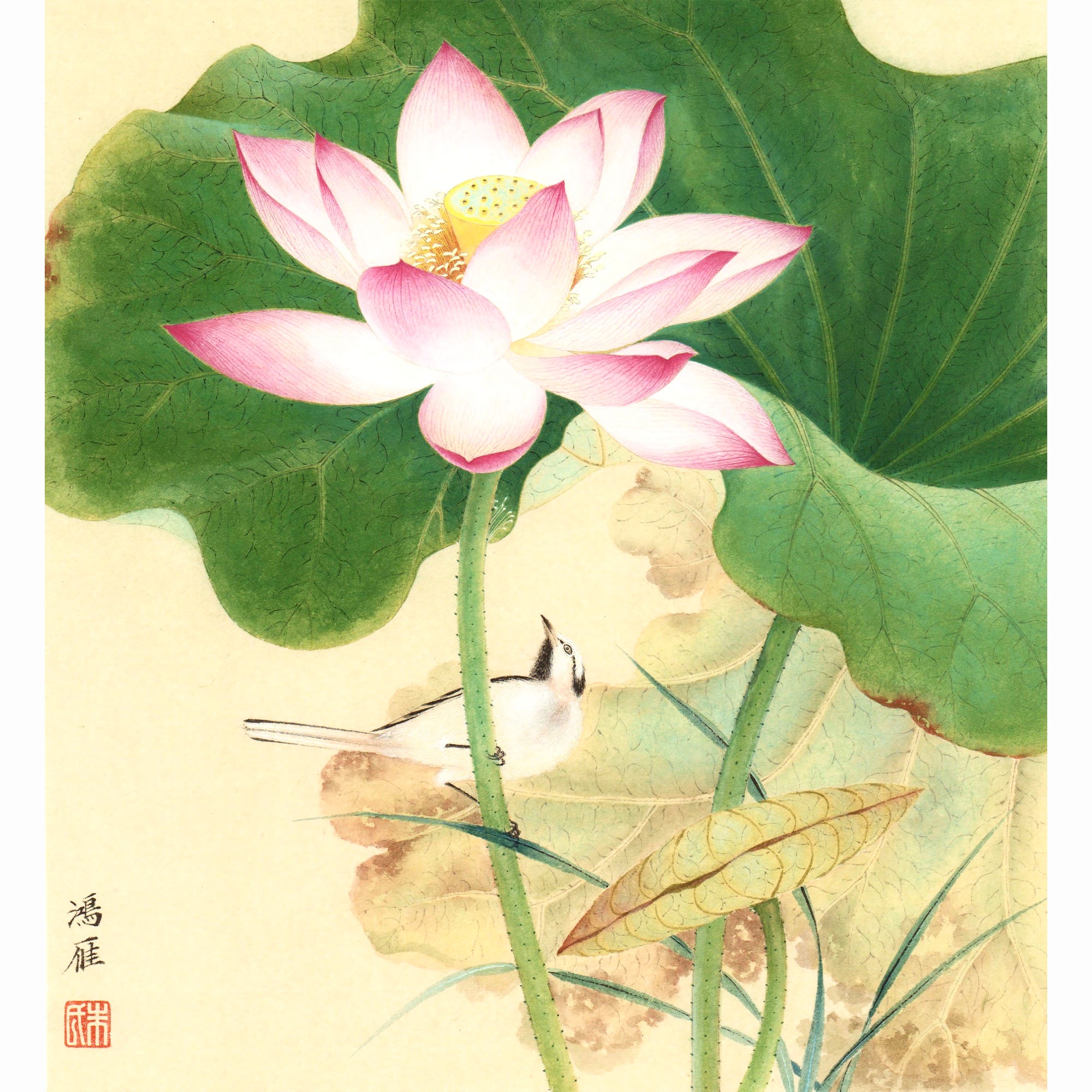 Lotus in Wind 01