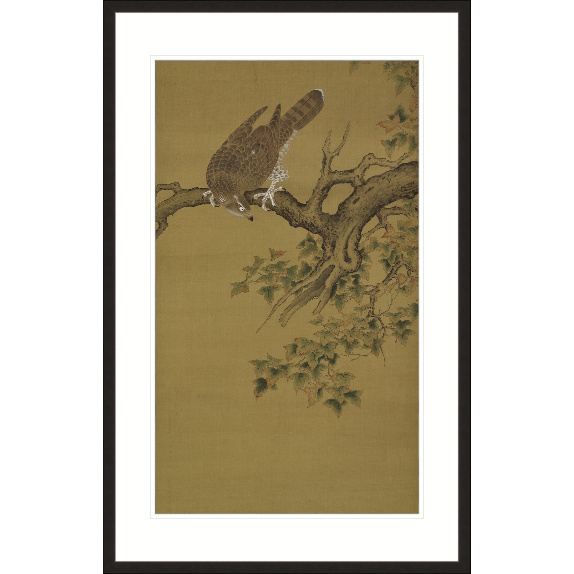 An Eagle on the Maple