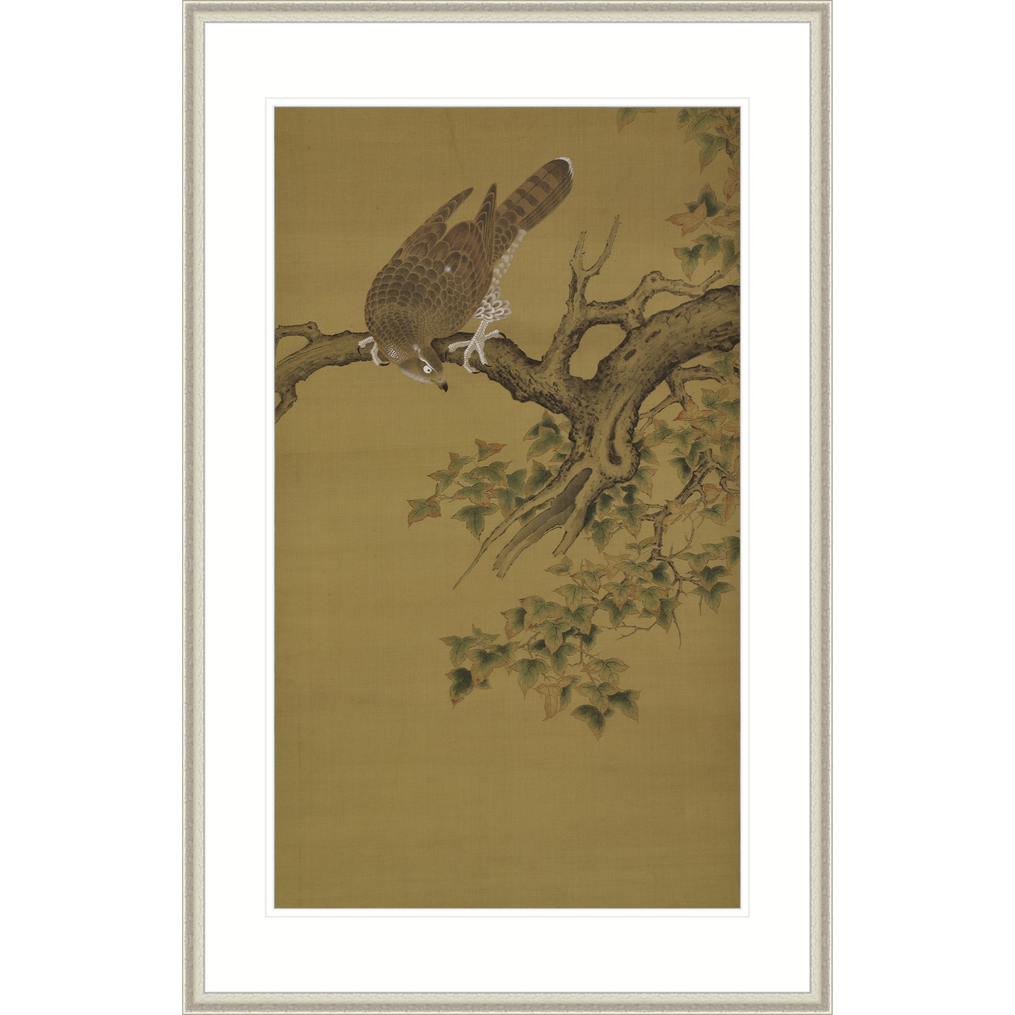 An Eagle on the Maple