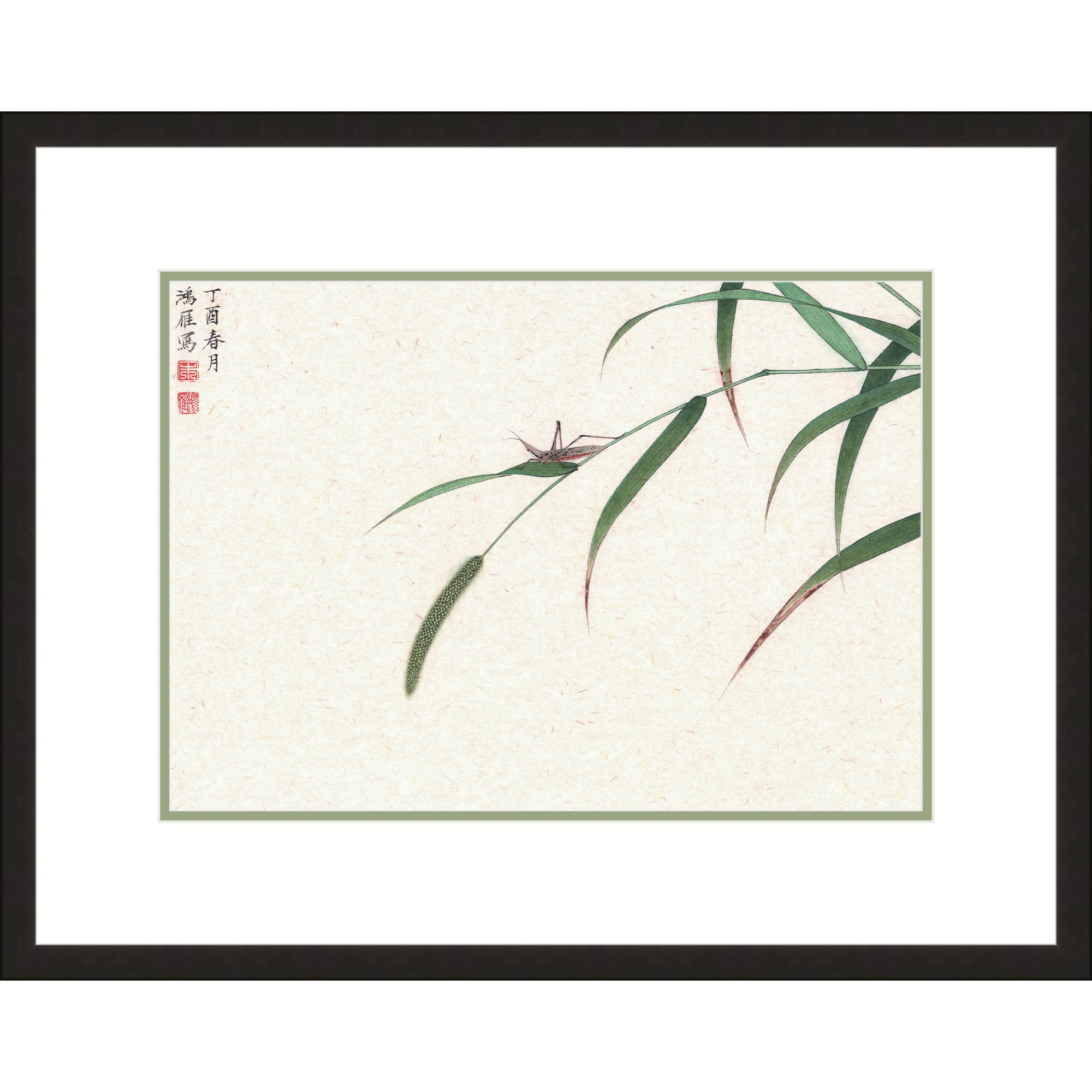 The Grasshopper and The Foxtail Grass