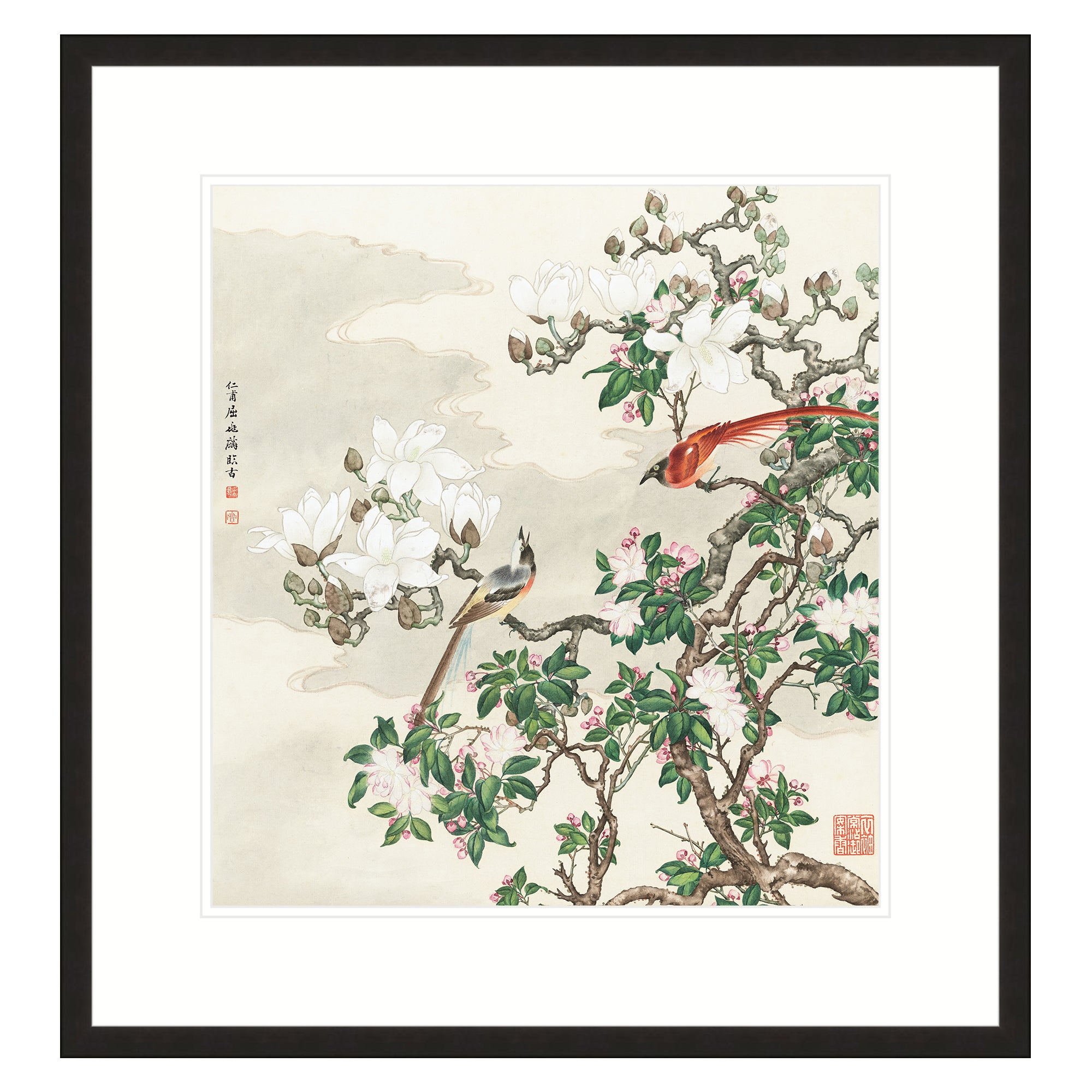 Chrysolophus and Hibiscus 02