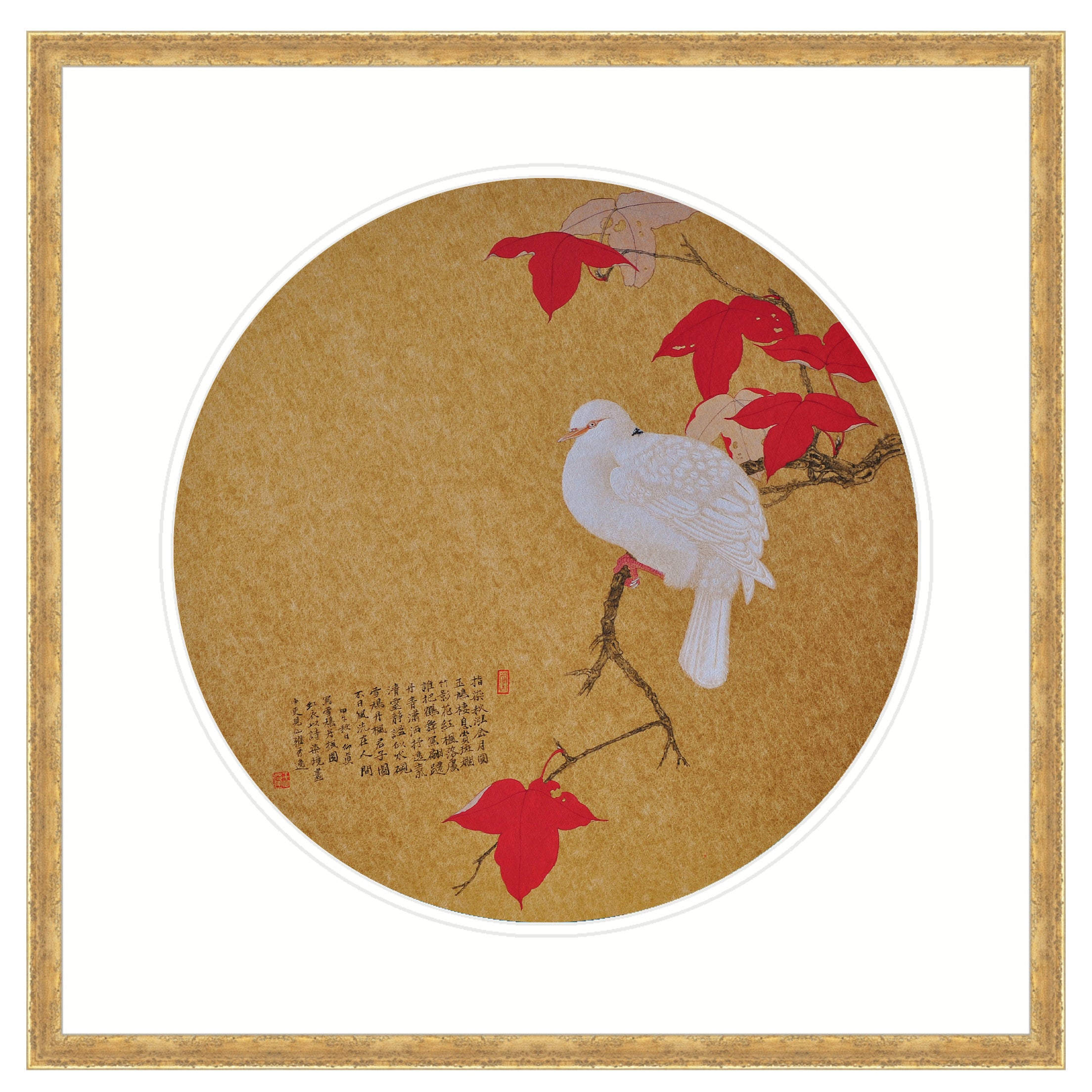 White Pigeon on a Maple Branch