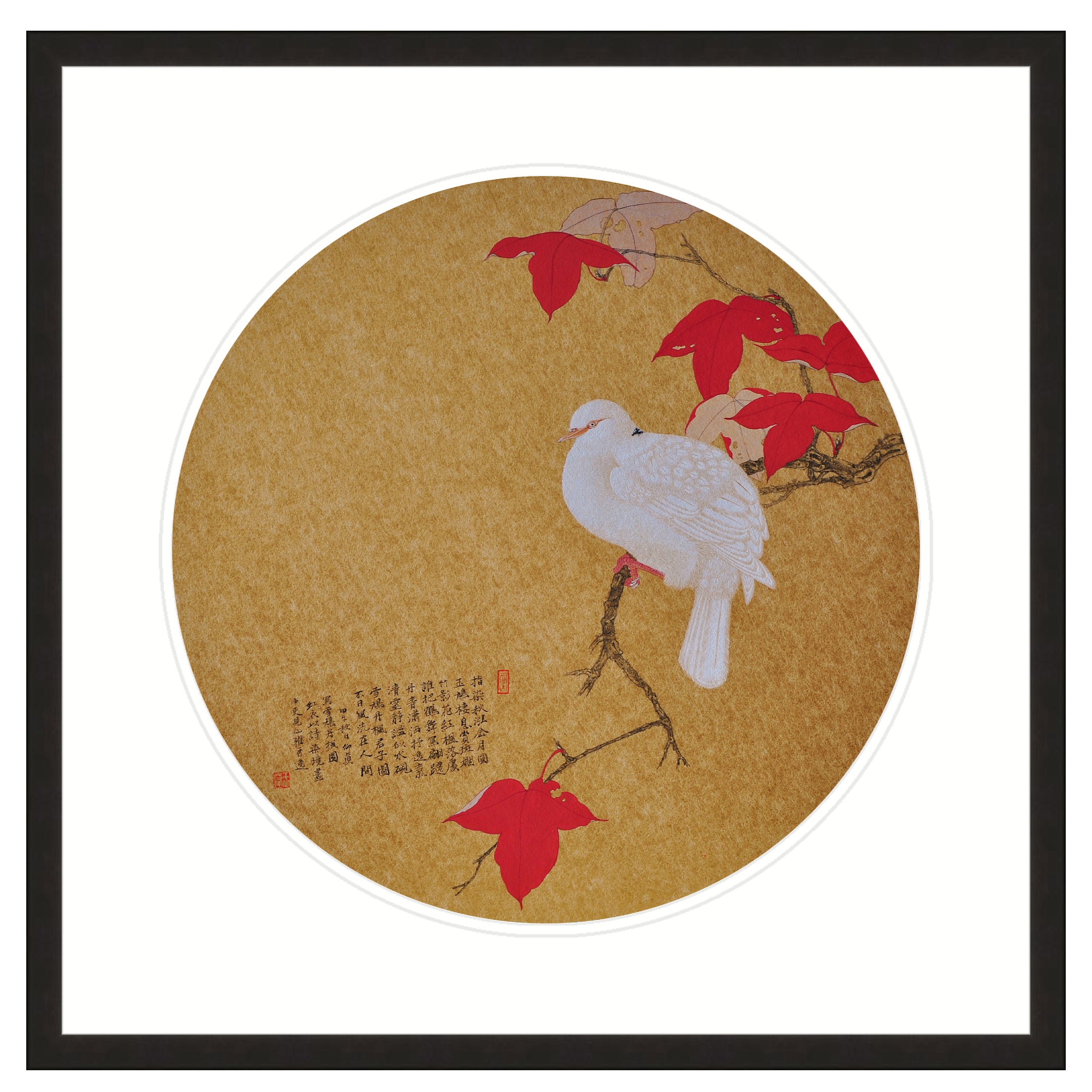 White Pigeon on a Maple Branch