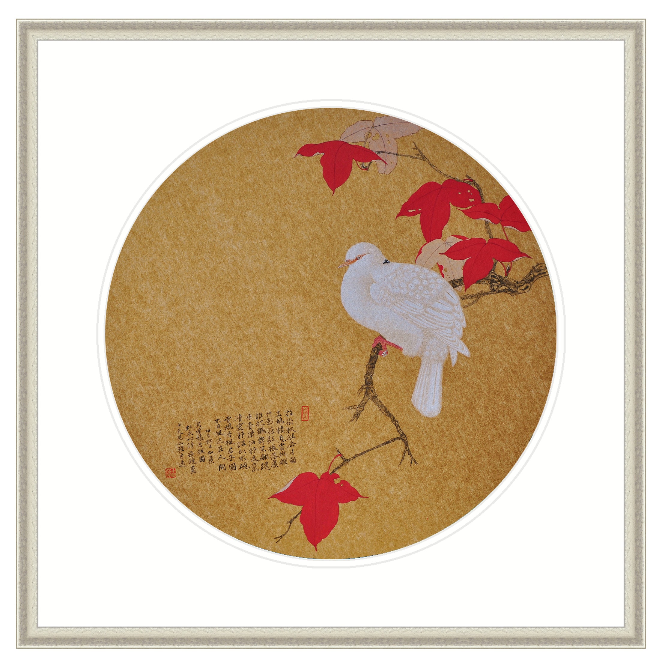 White Pigeon on a Maple Branch
