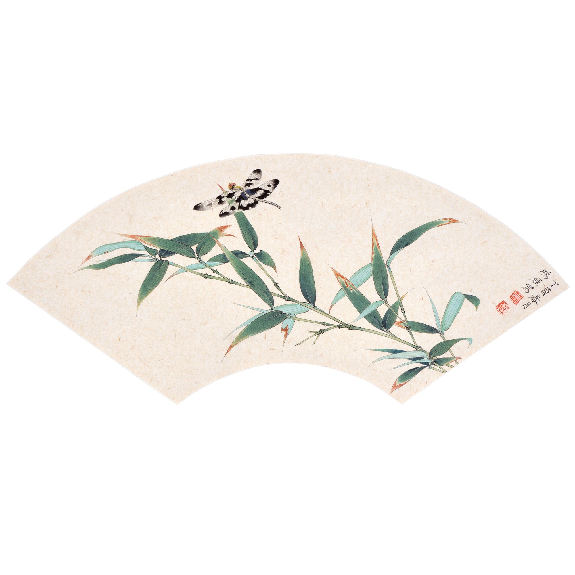 The Dragonfly and The Bamboo