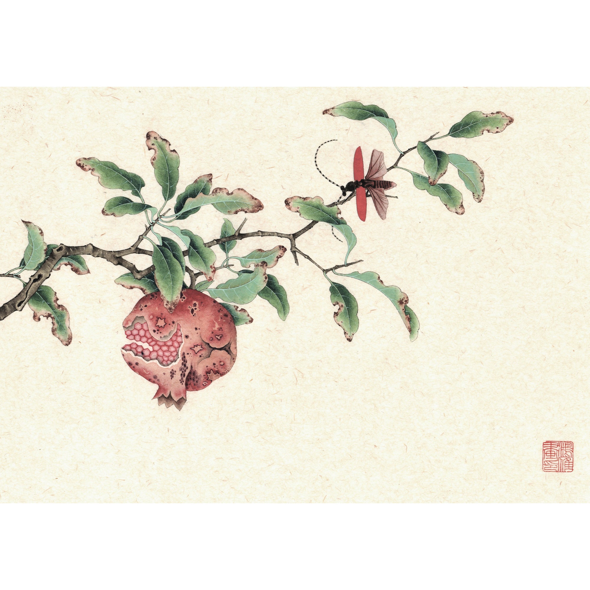 Pomegranate and The Longhorned Beetles