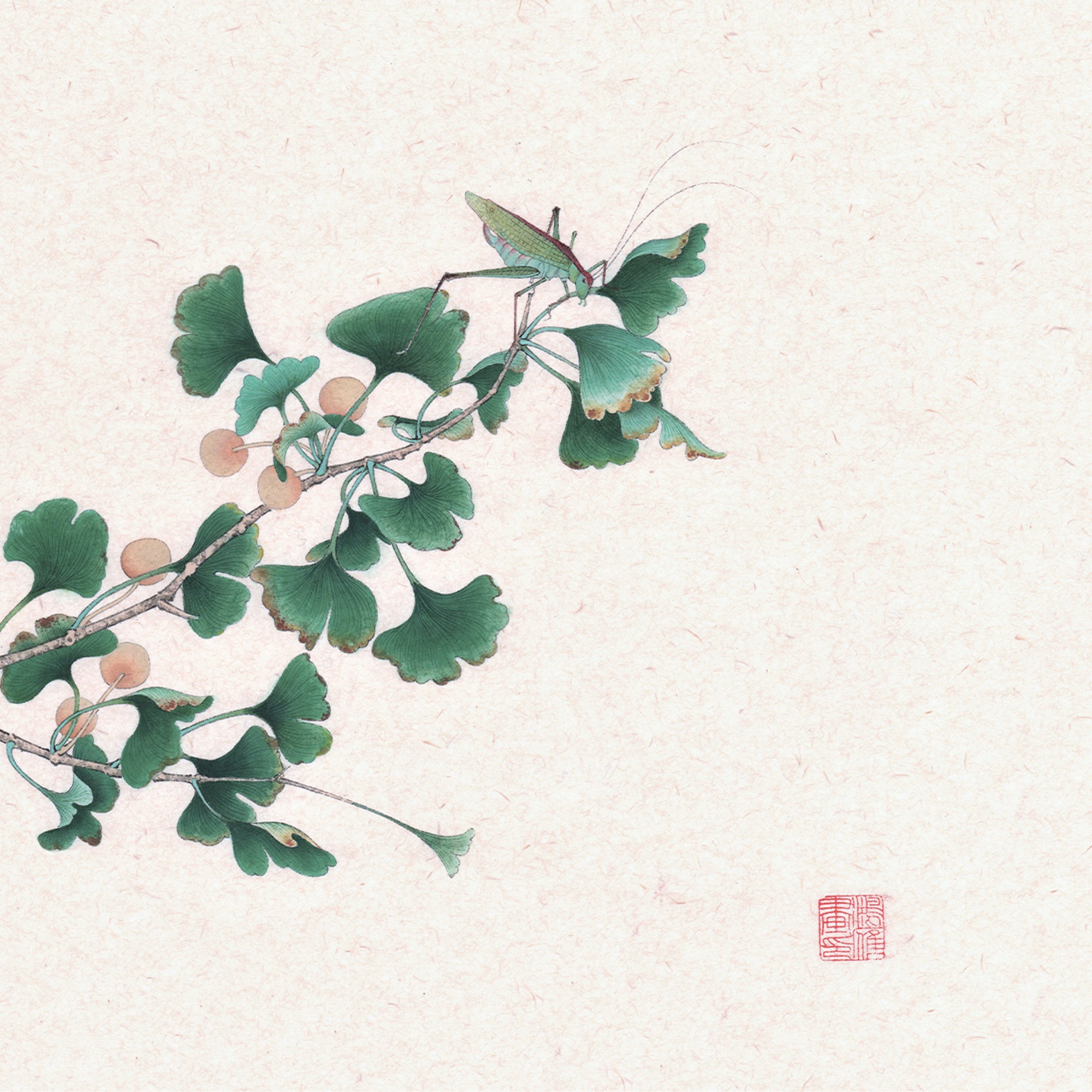 The Ginkgo and The Katydid