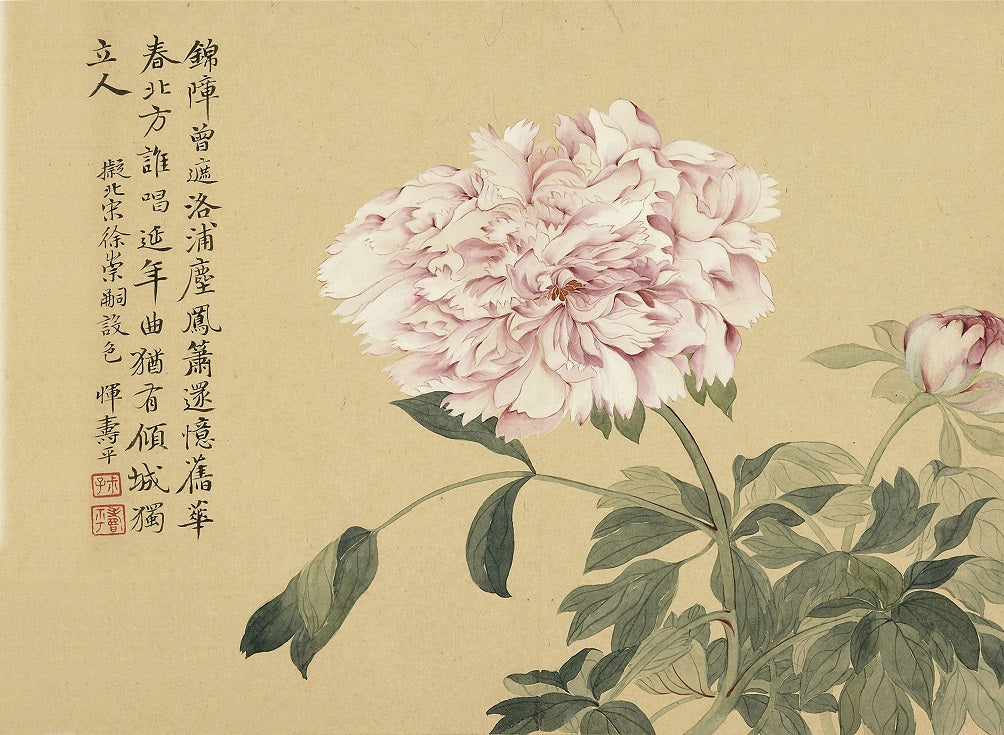 Prosperous Peony