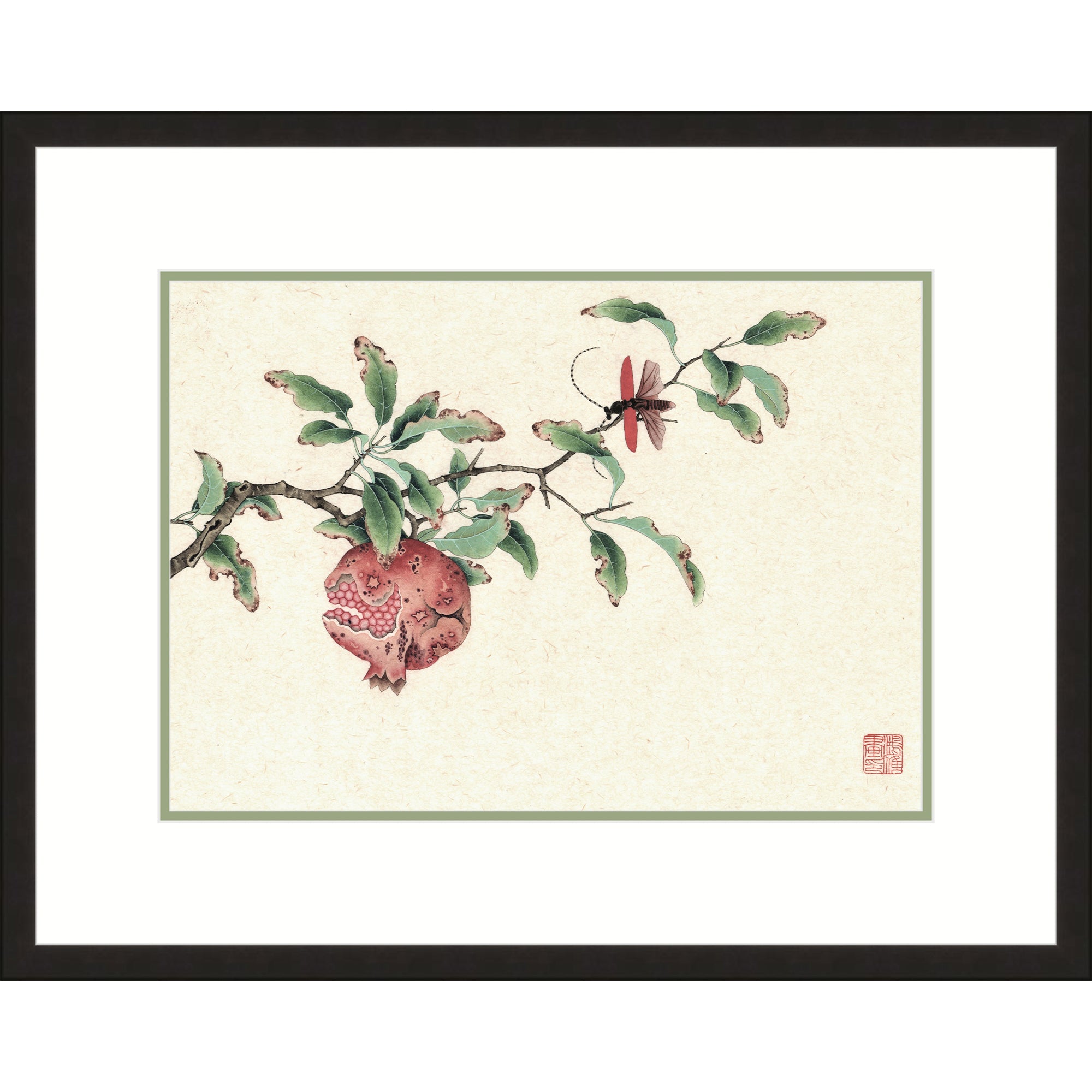 Pomegranate and The Longhorned Beetles