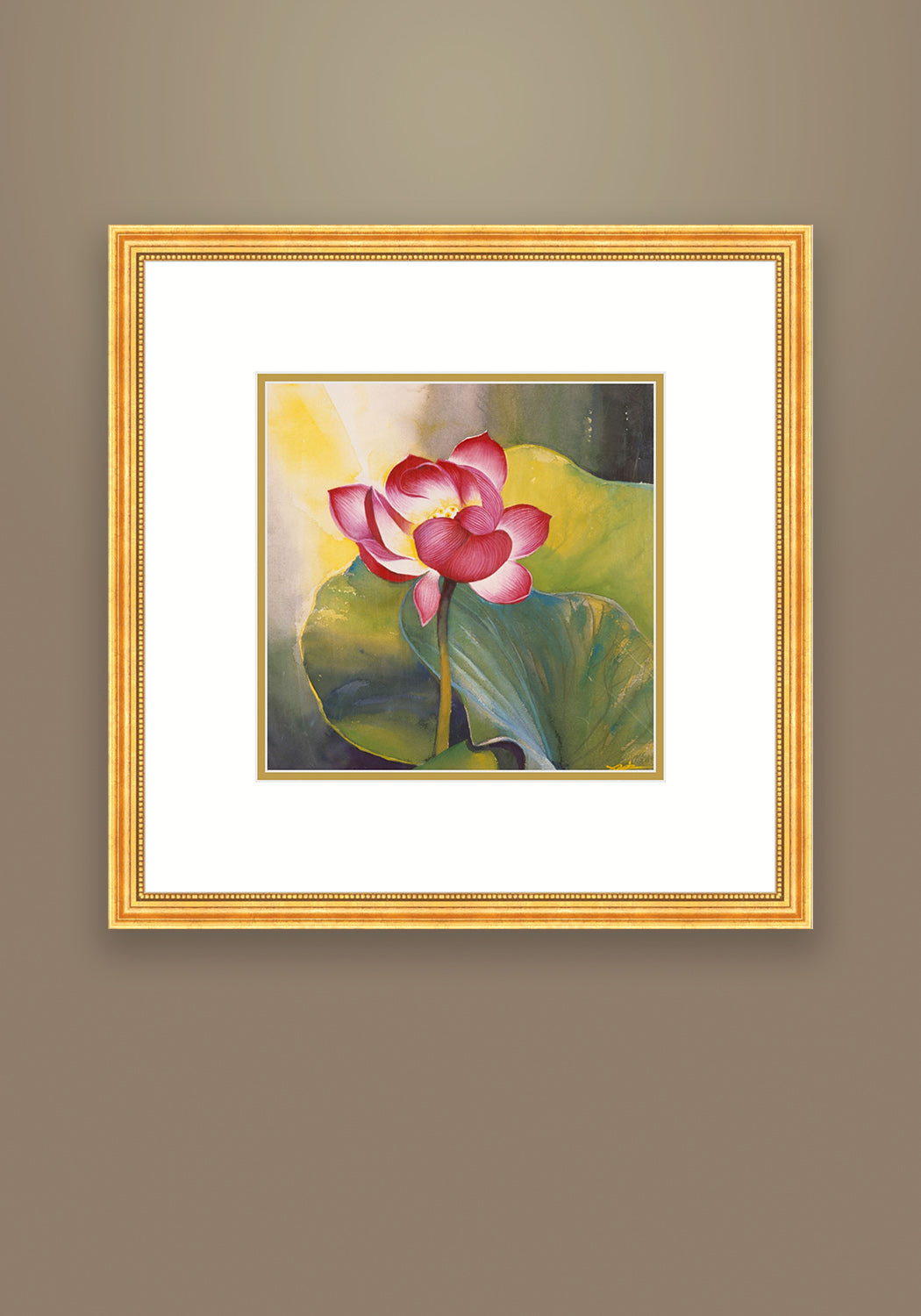 Lotus in the Morning Light
