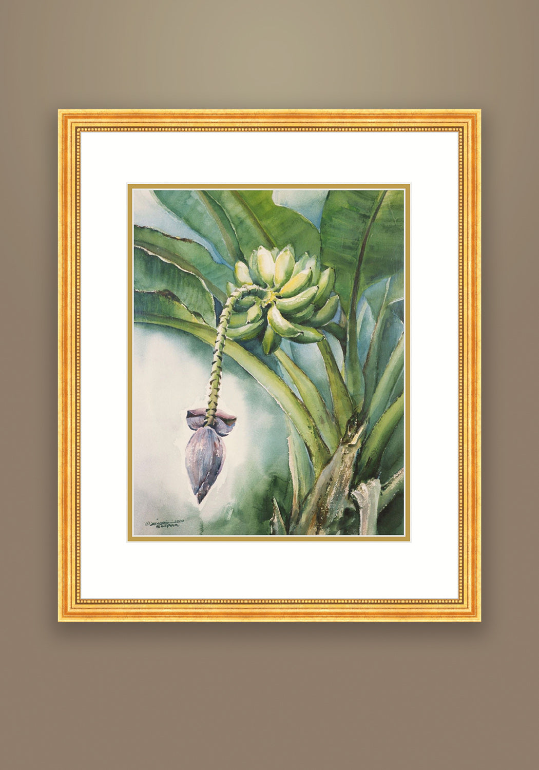 Banana Tree