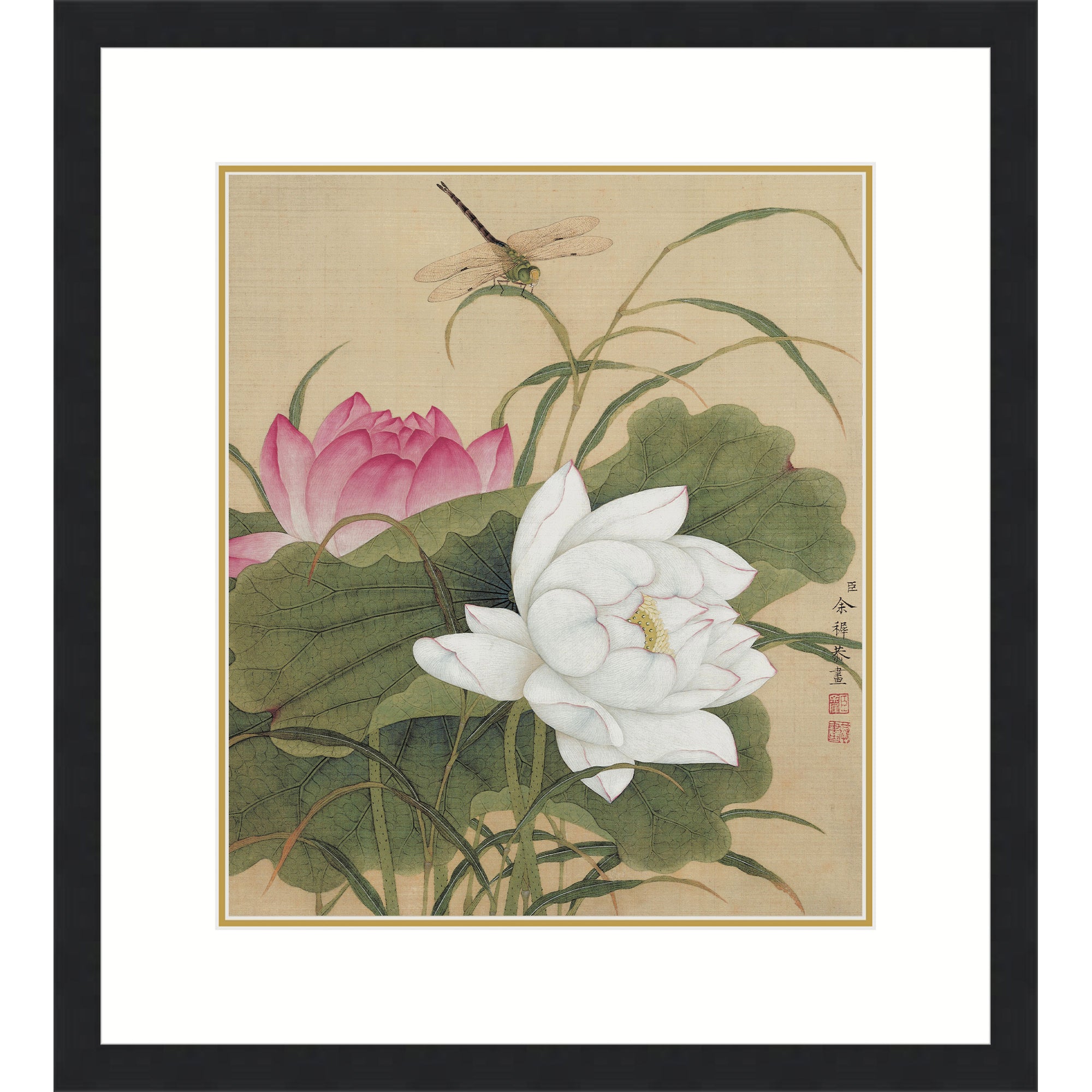 Twin Lotuses in Pond