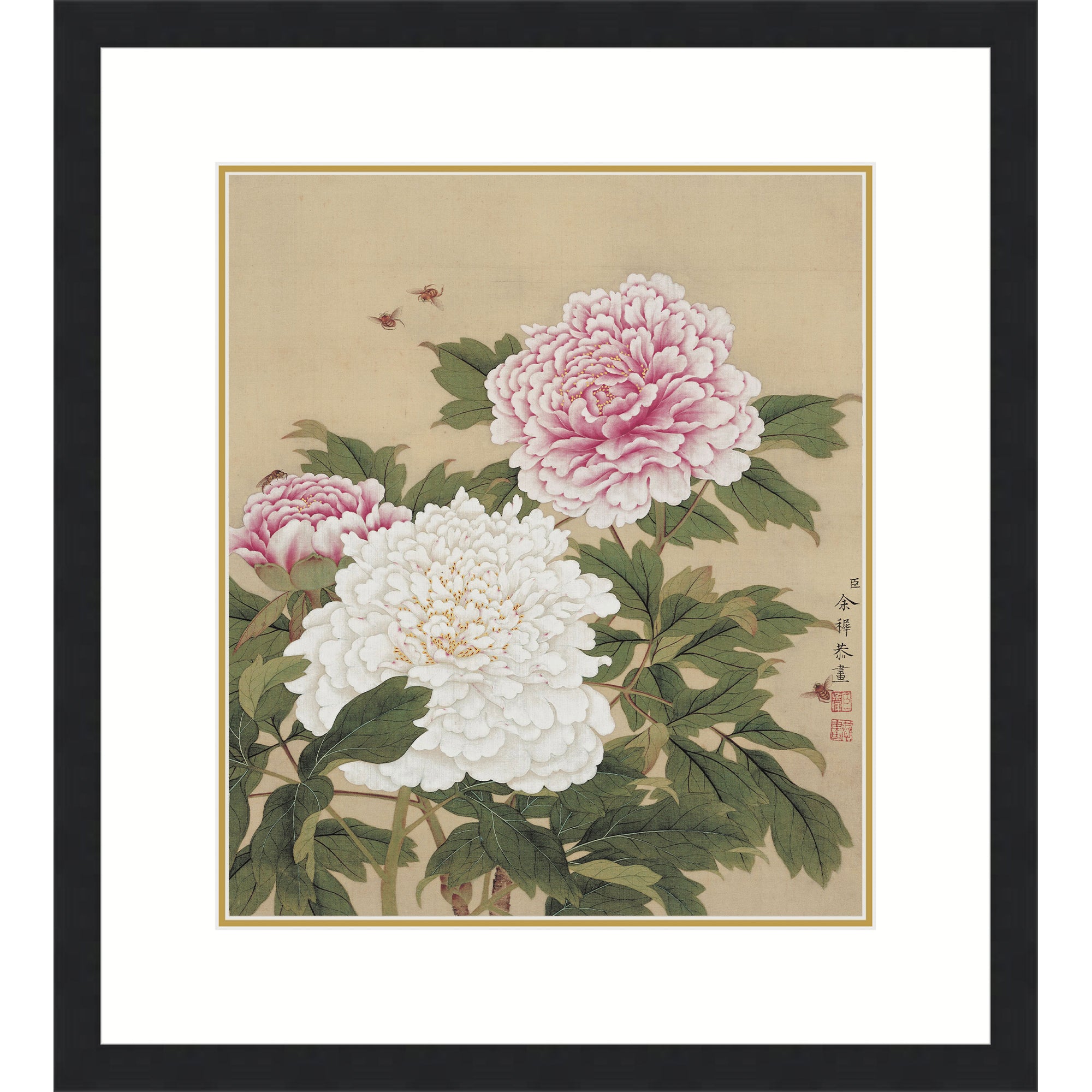 Peonies in Full Bloom