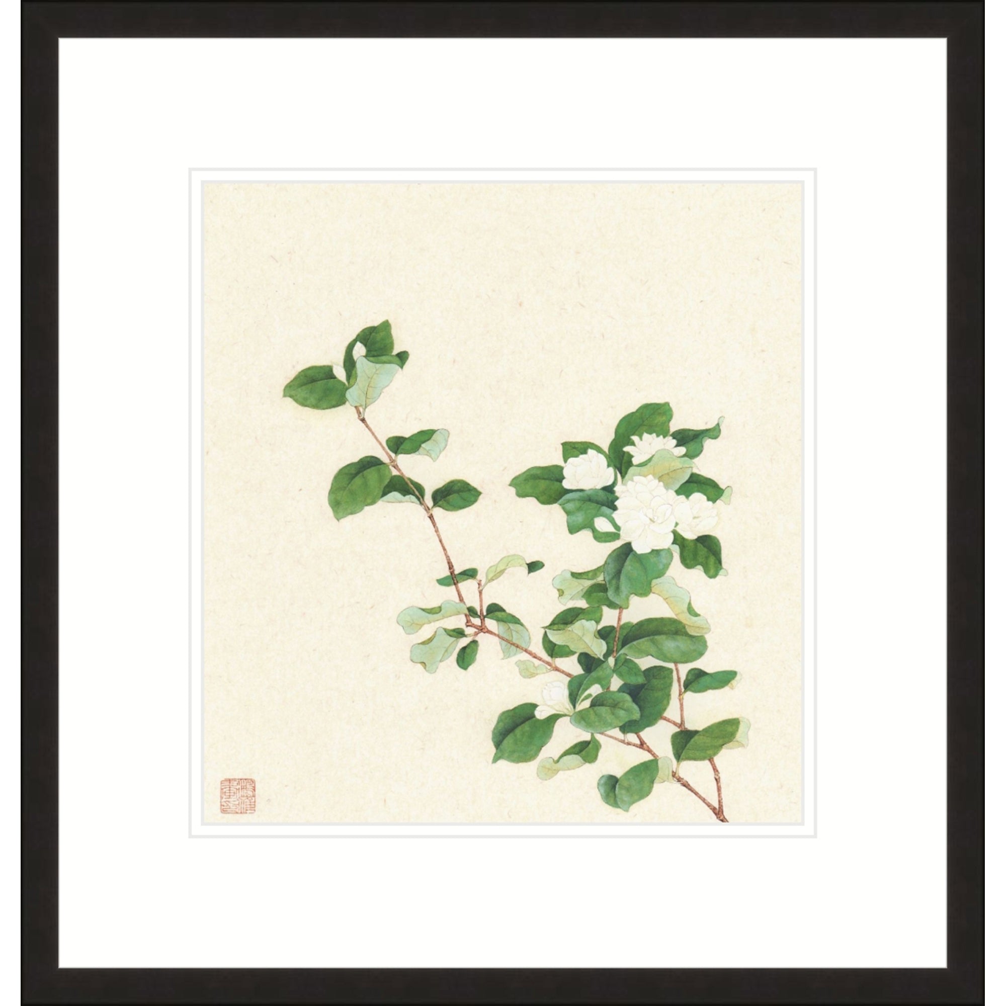 Jasmine Blossoms