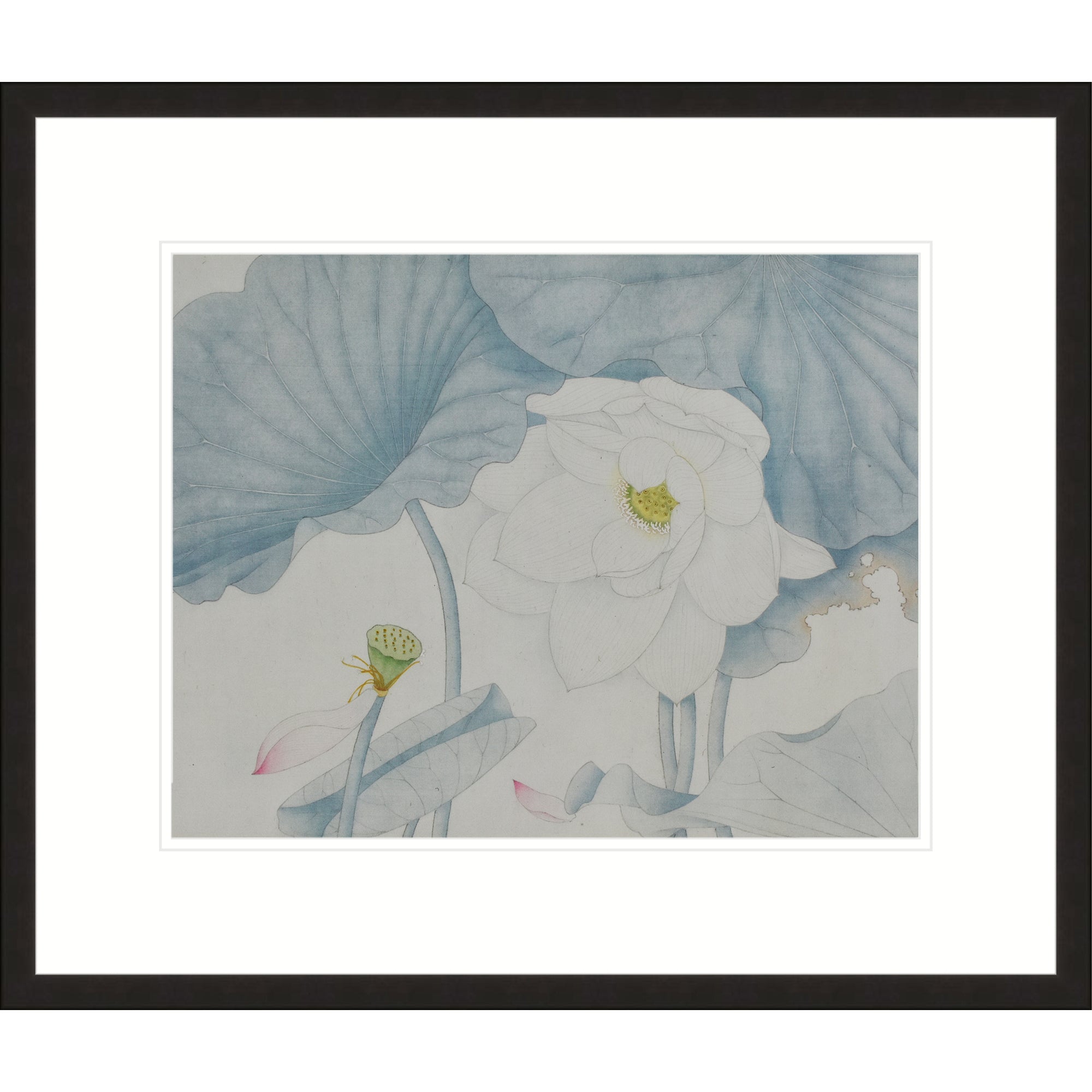 Lotus in the Mist