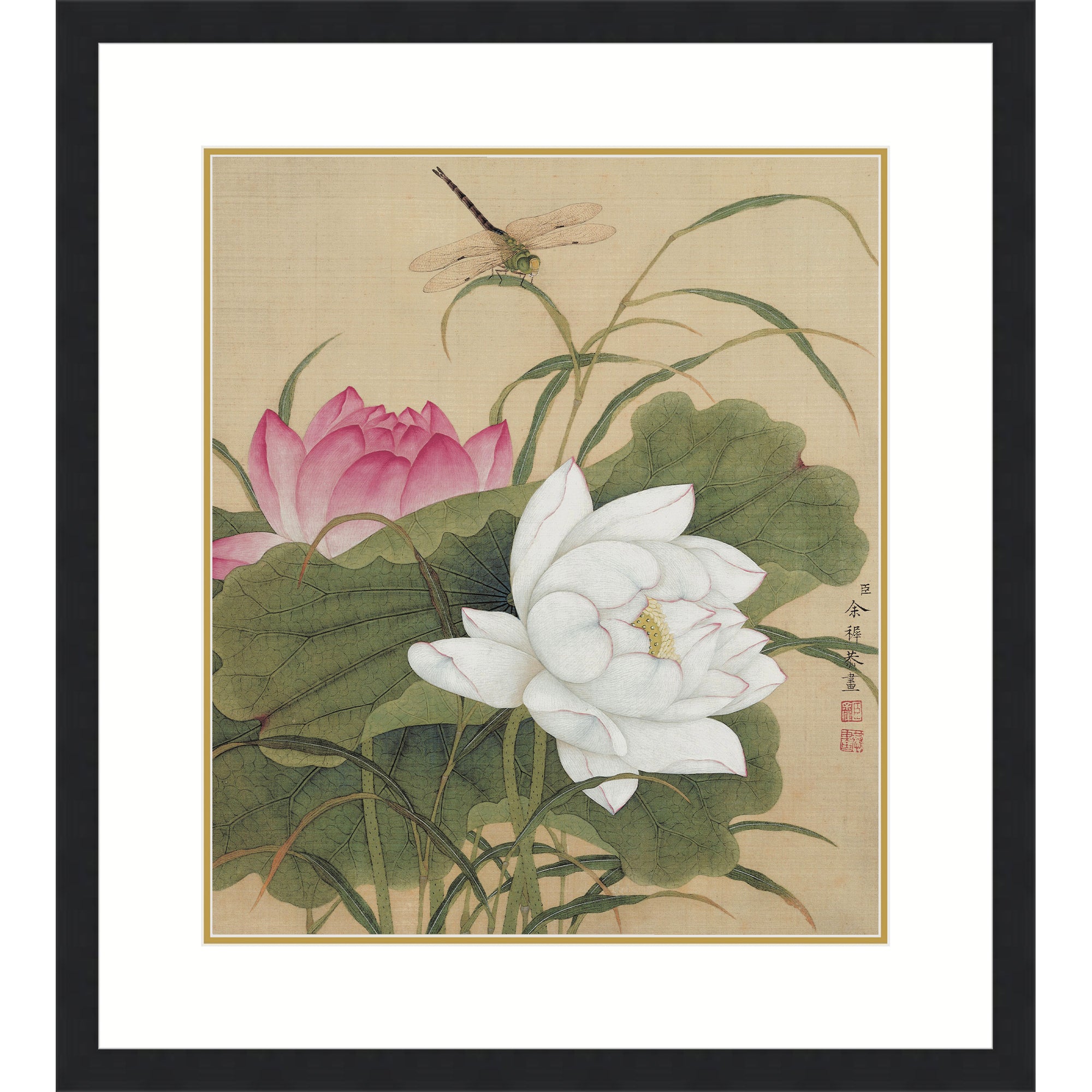 Twin Lotuses in Pond