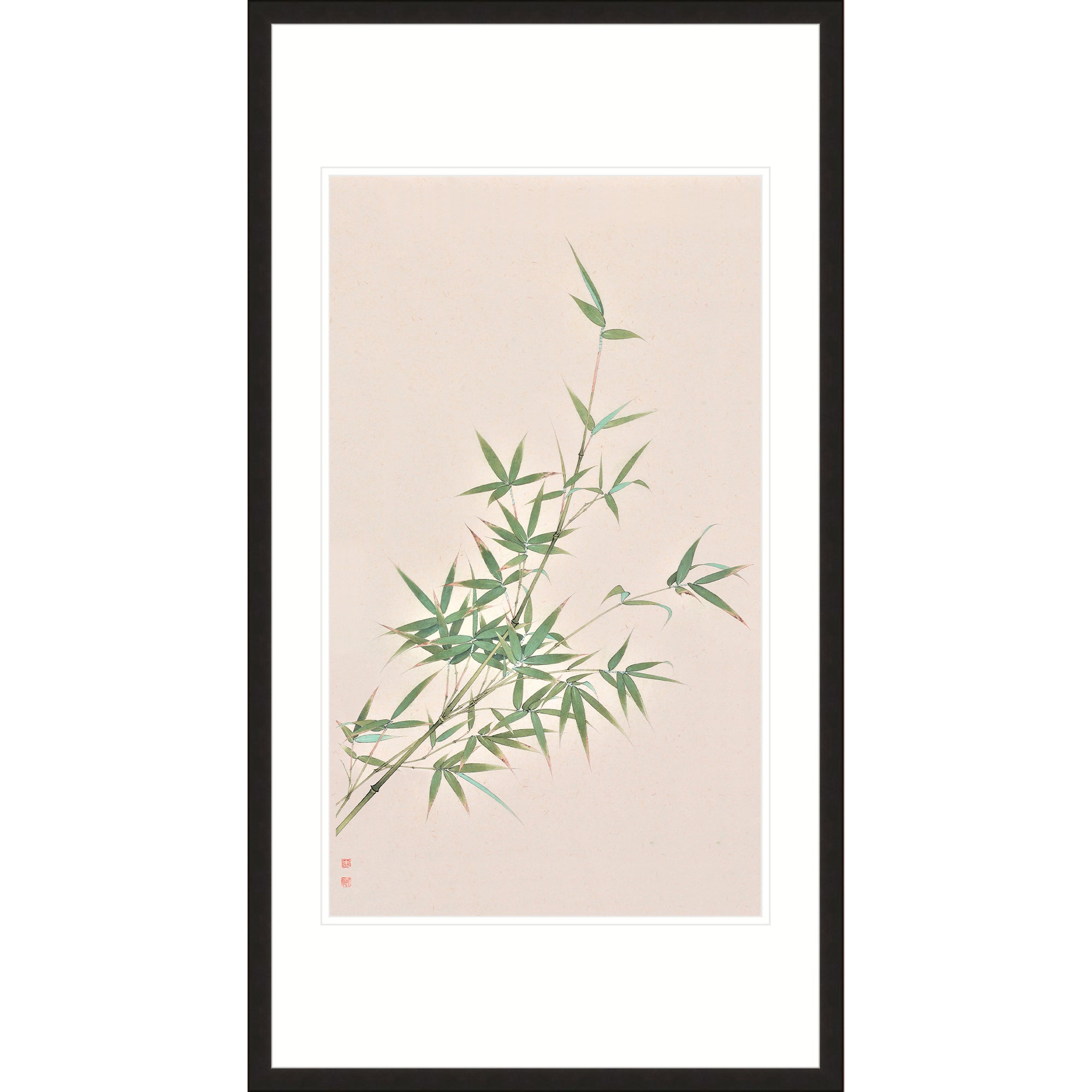 Sunny Bamboo