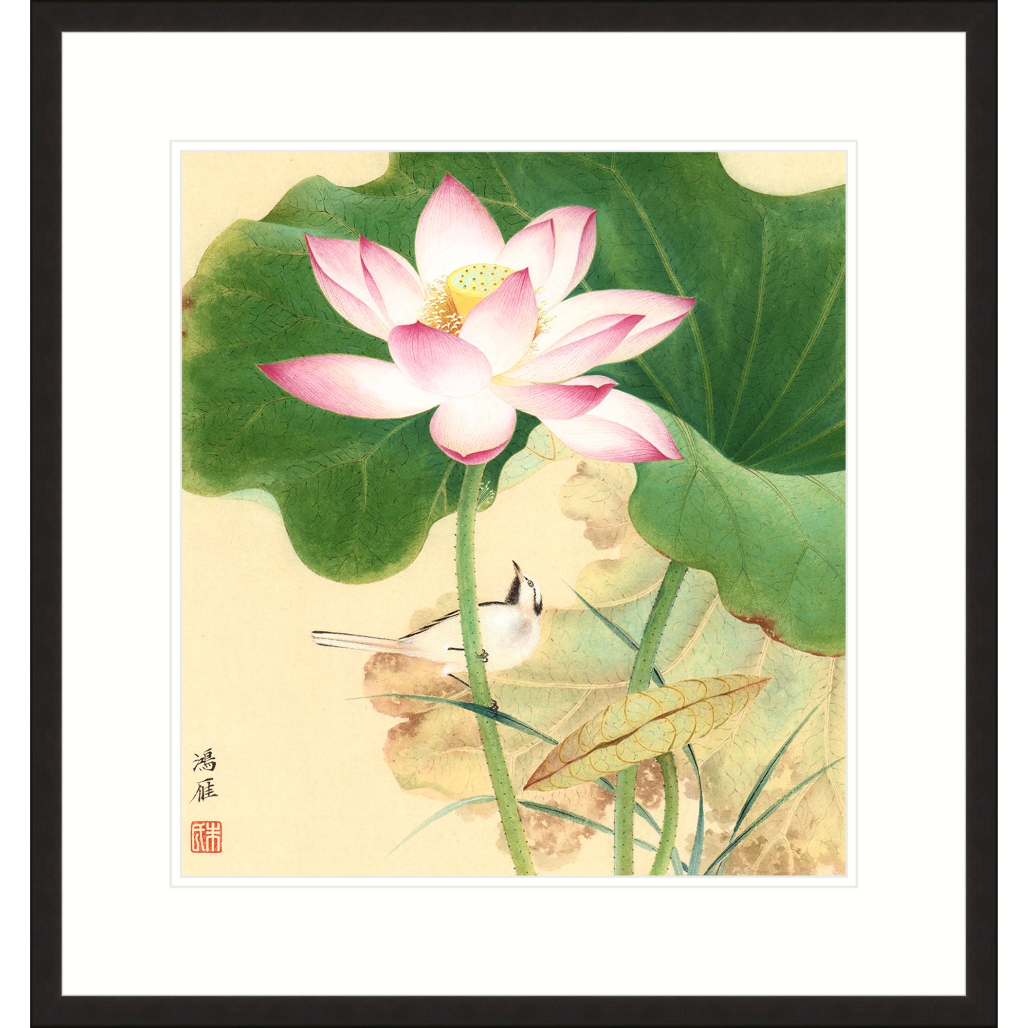 Lotus in Wind 01