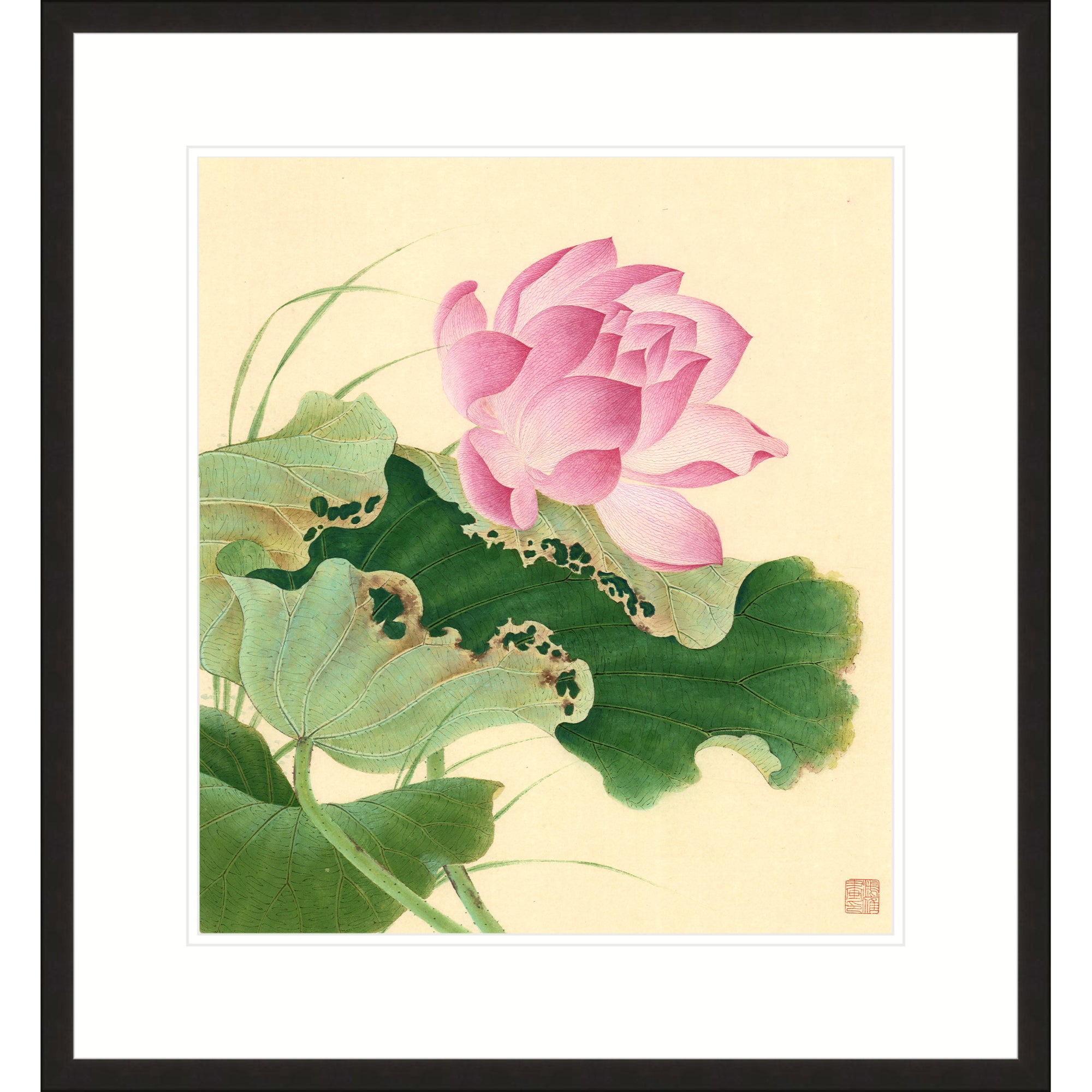 Lotus in Wind 02