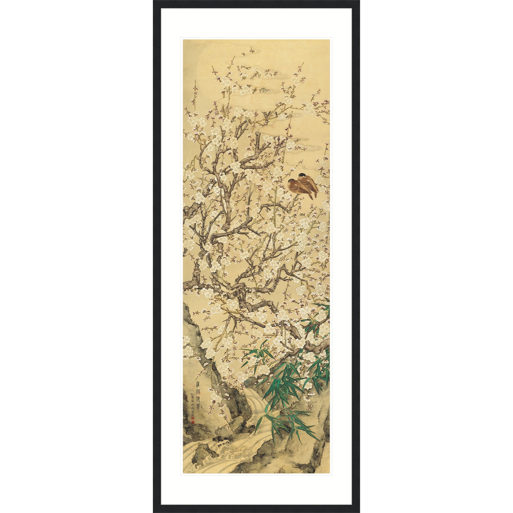 Creek-Side Plum Blossoms