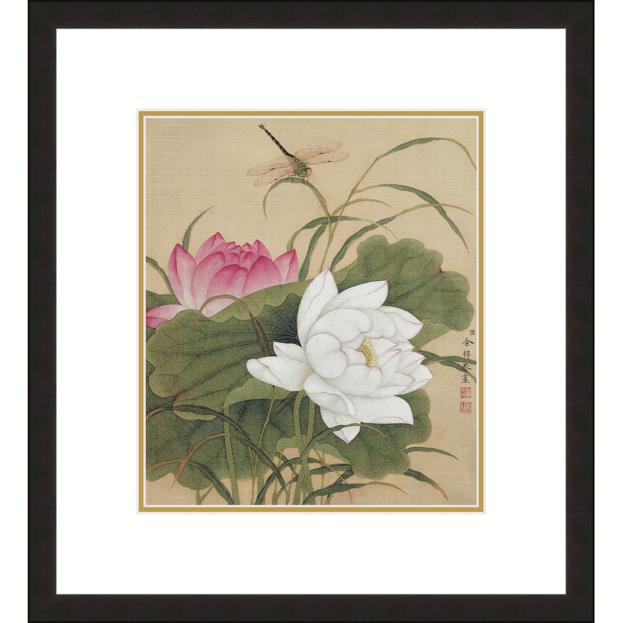 Twin Lotuses in Pond