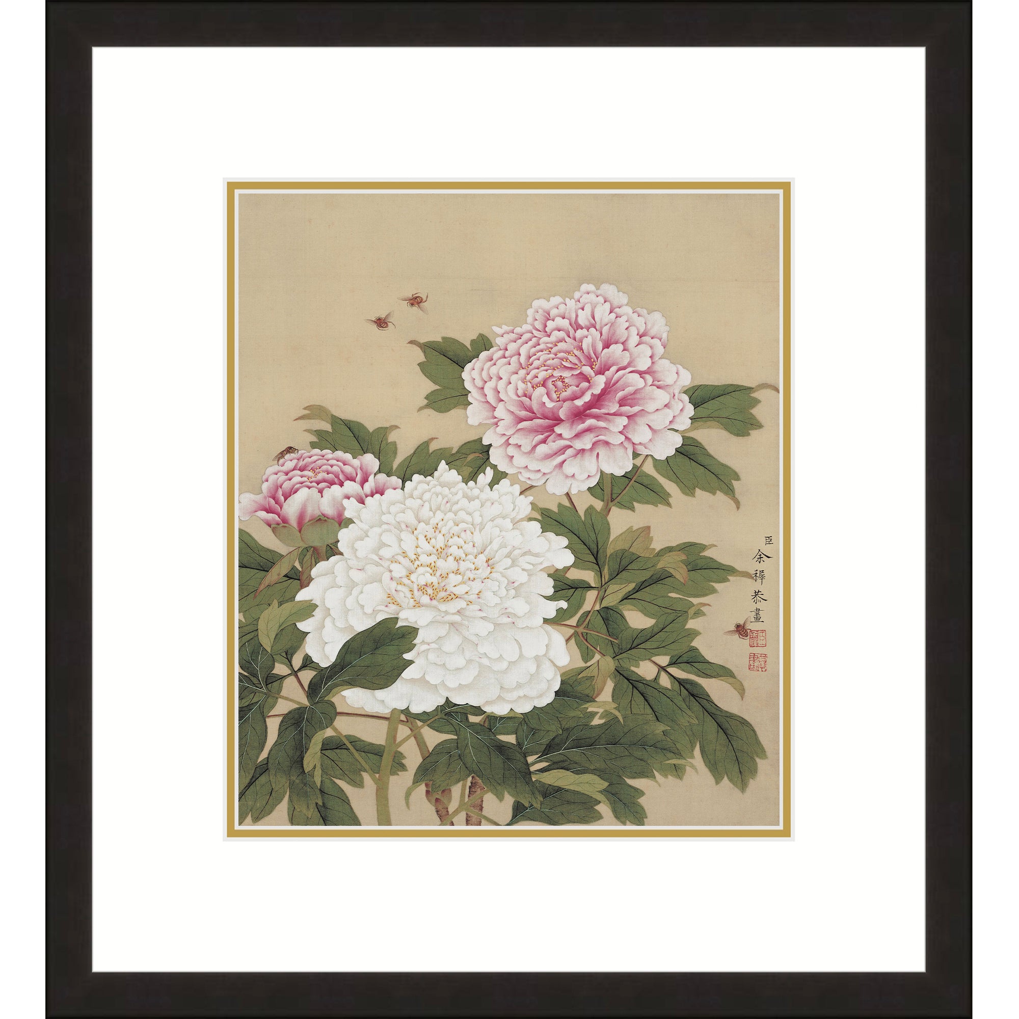 Peonies in Full Bloom