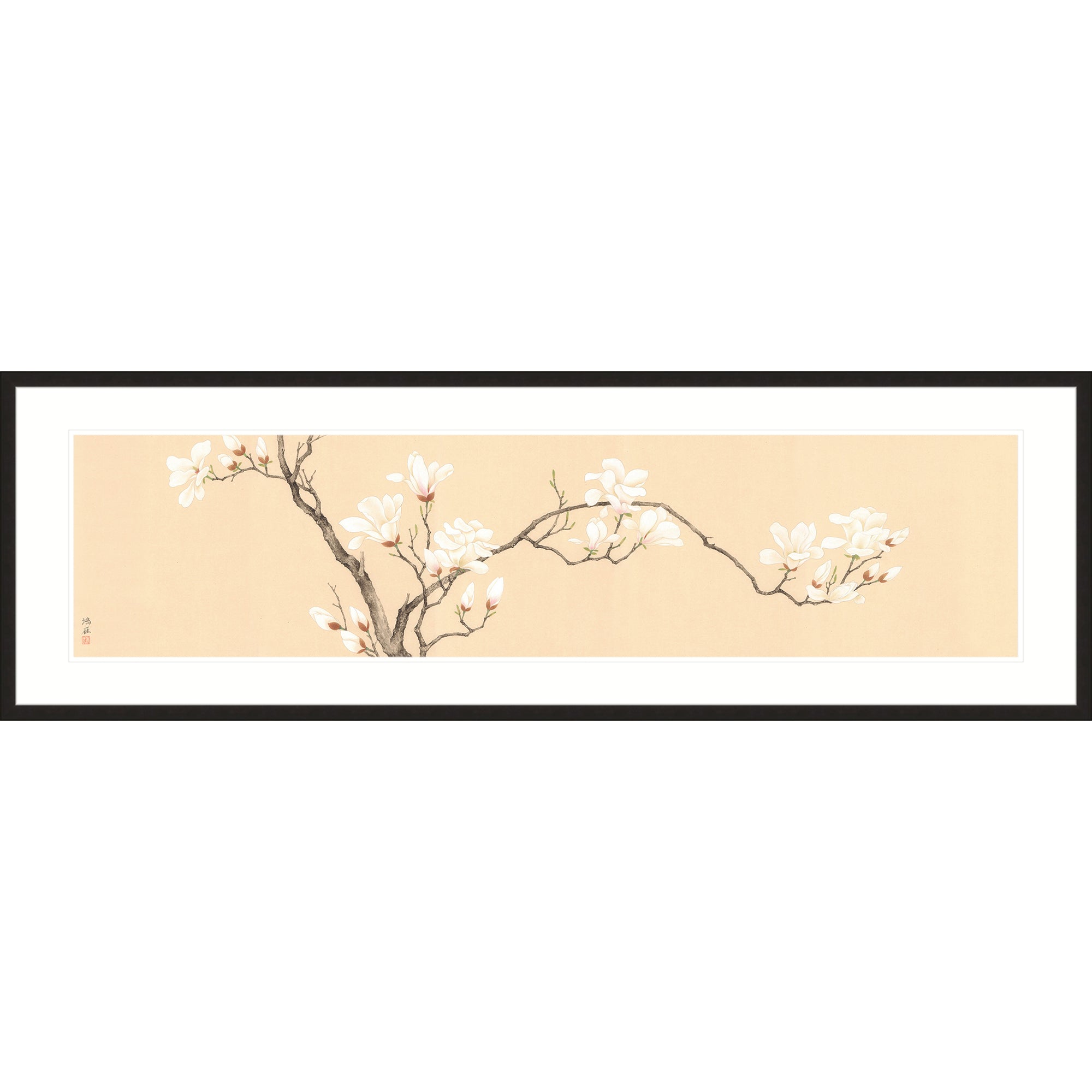Magnolia