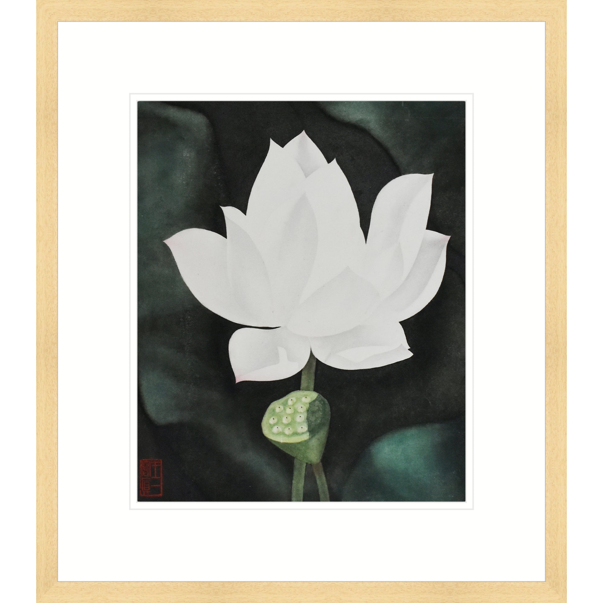 White Lotus