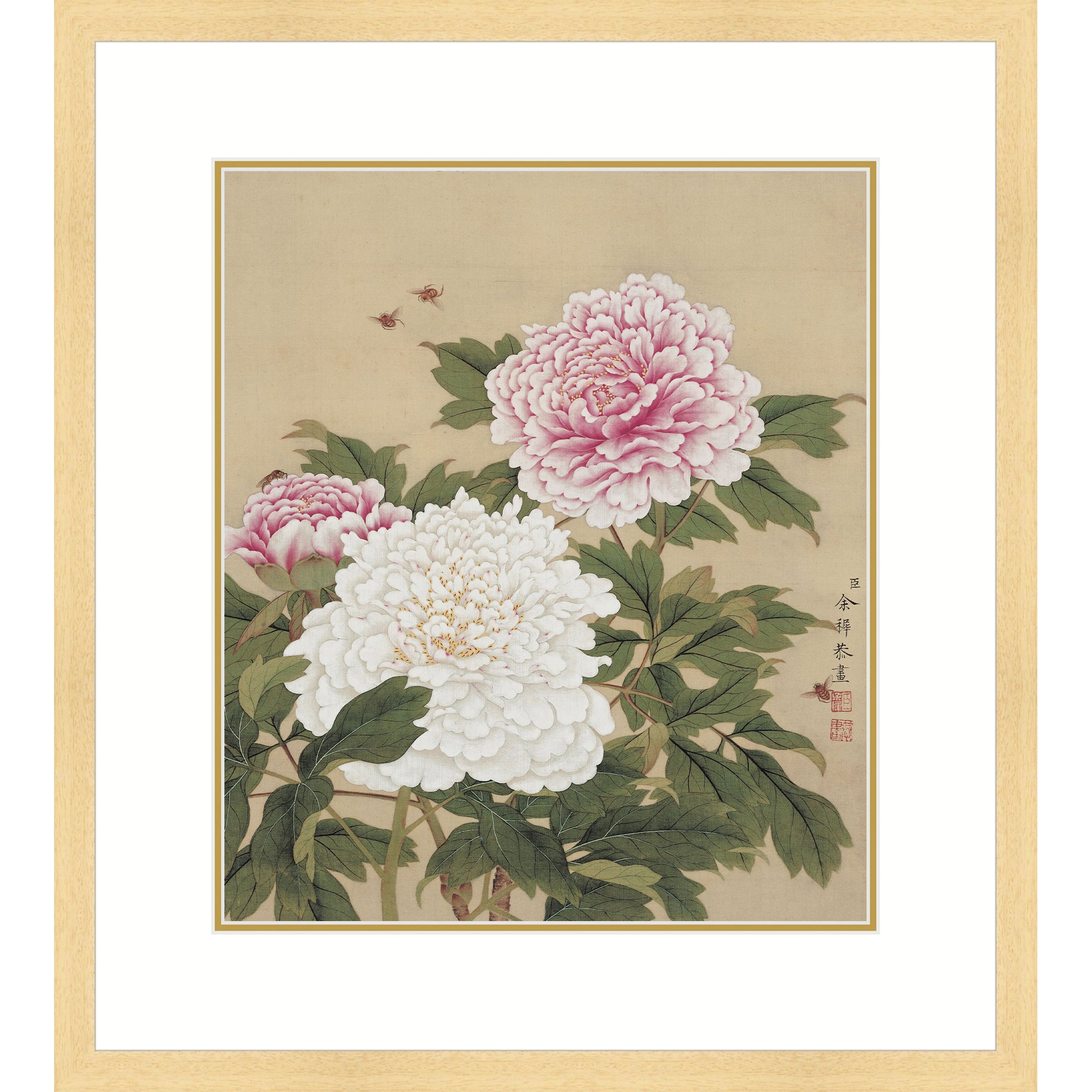Peonies in Full Bloom