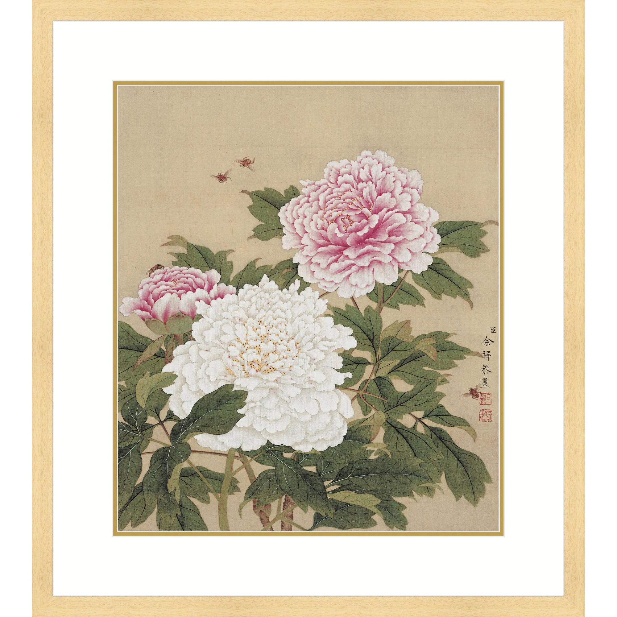 Peonies in Full Bloom
