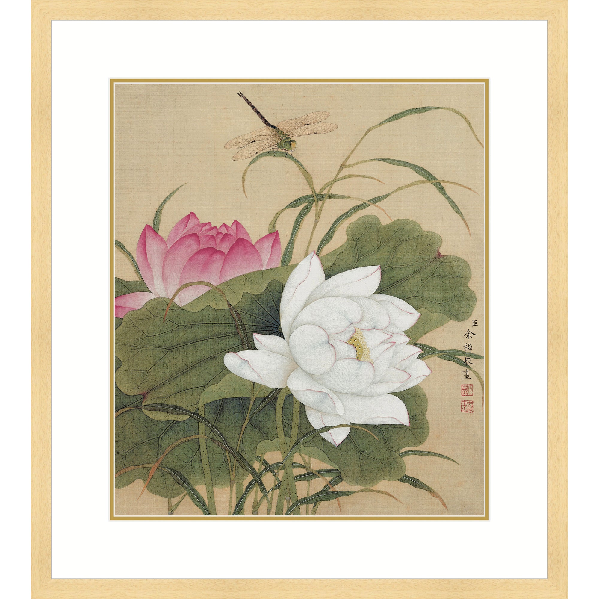 Twin Lotuses in Pond