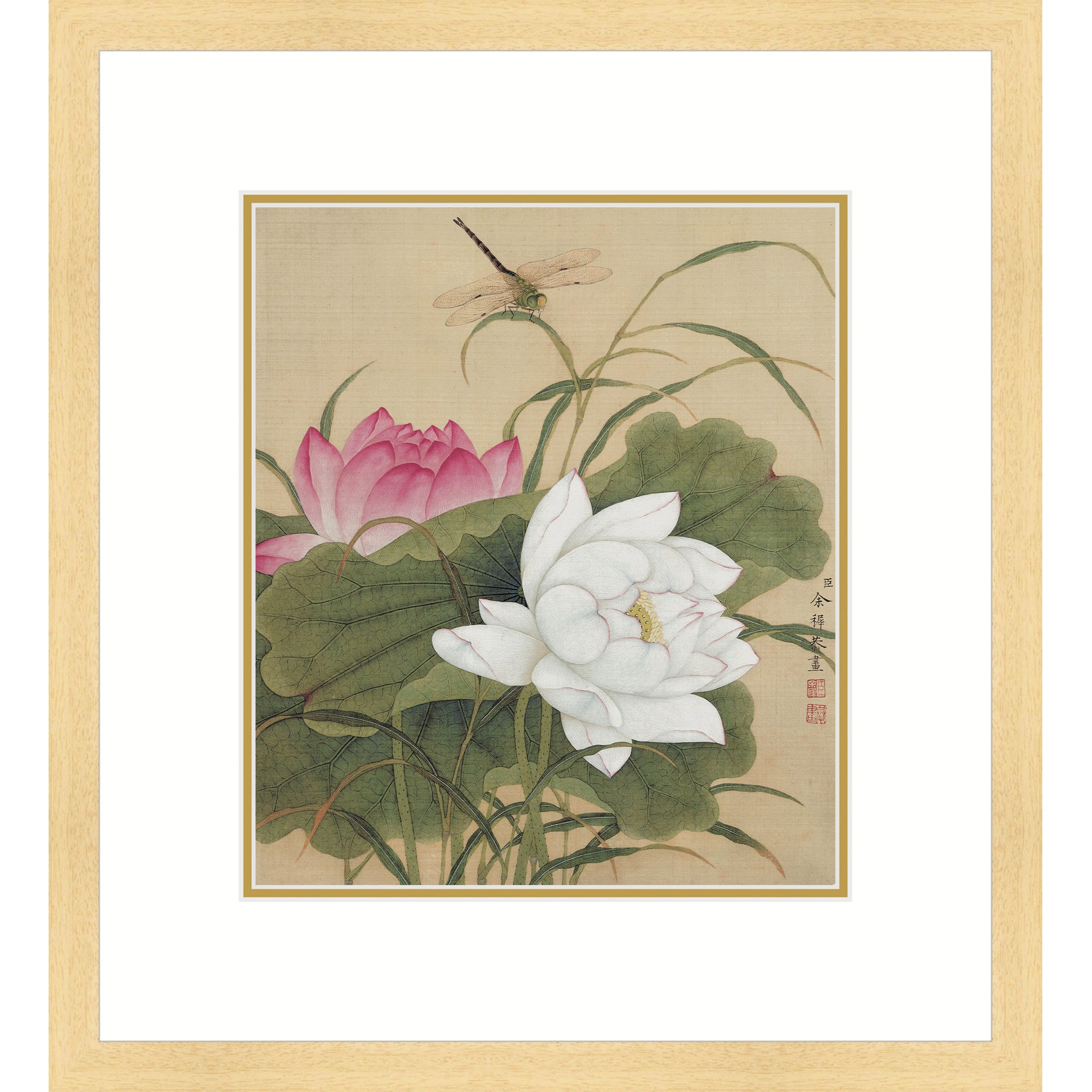 Twin Lotuses in Pond
