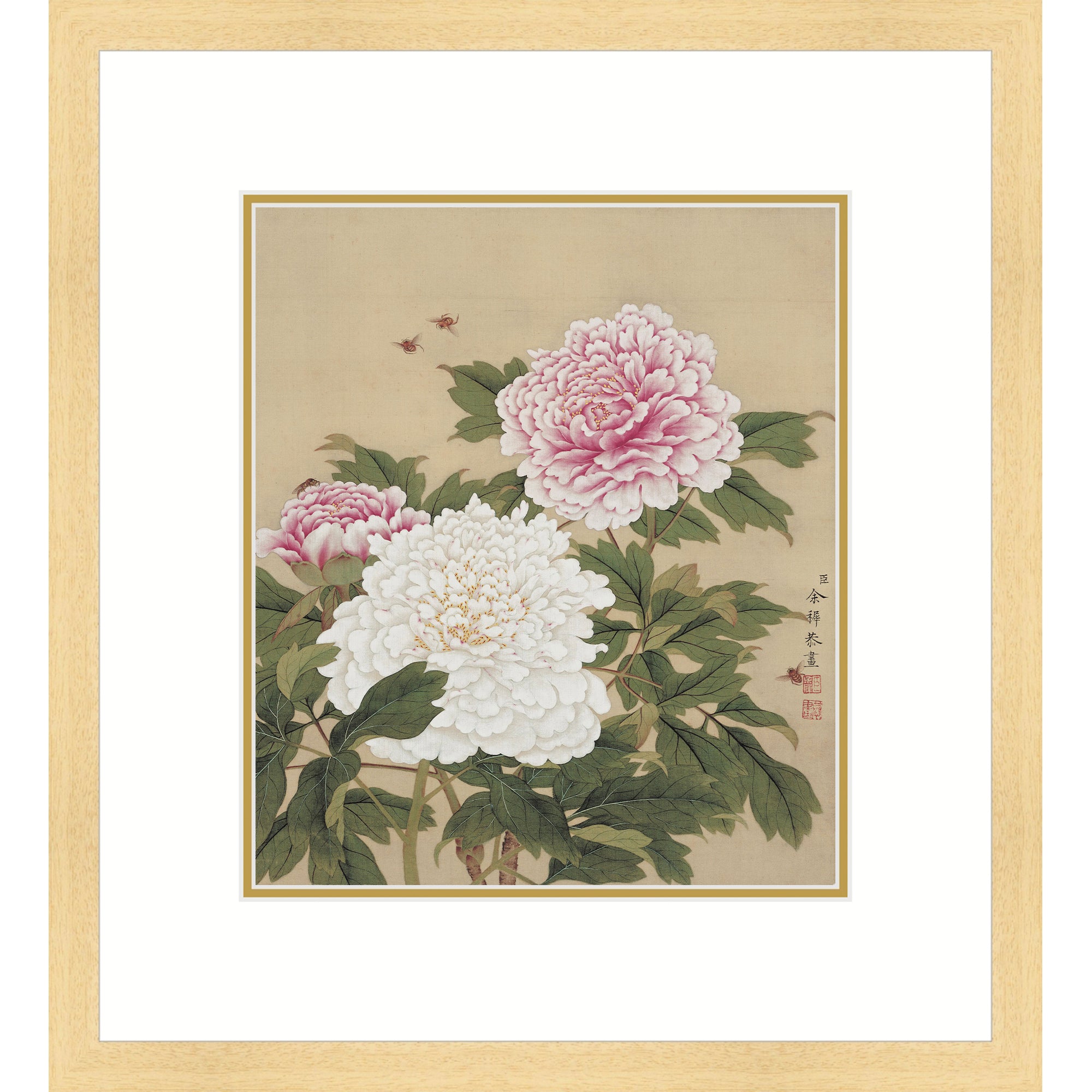Peonies in Full Bloom