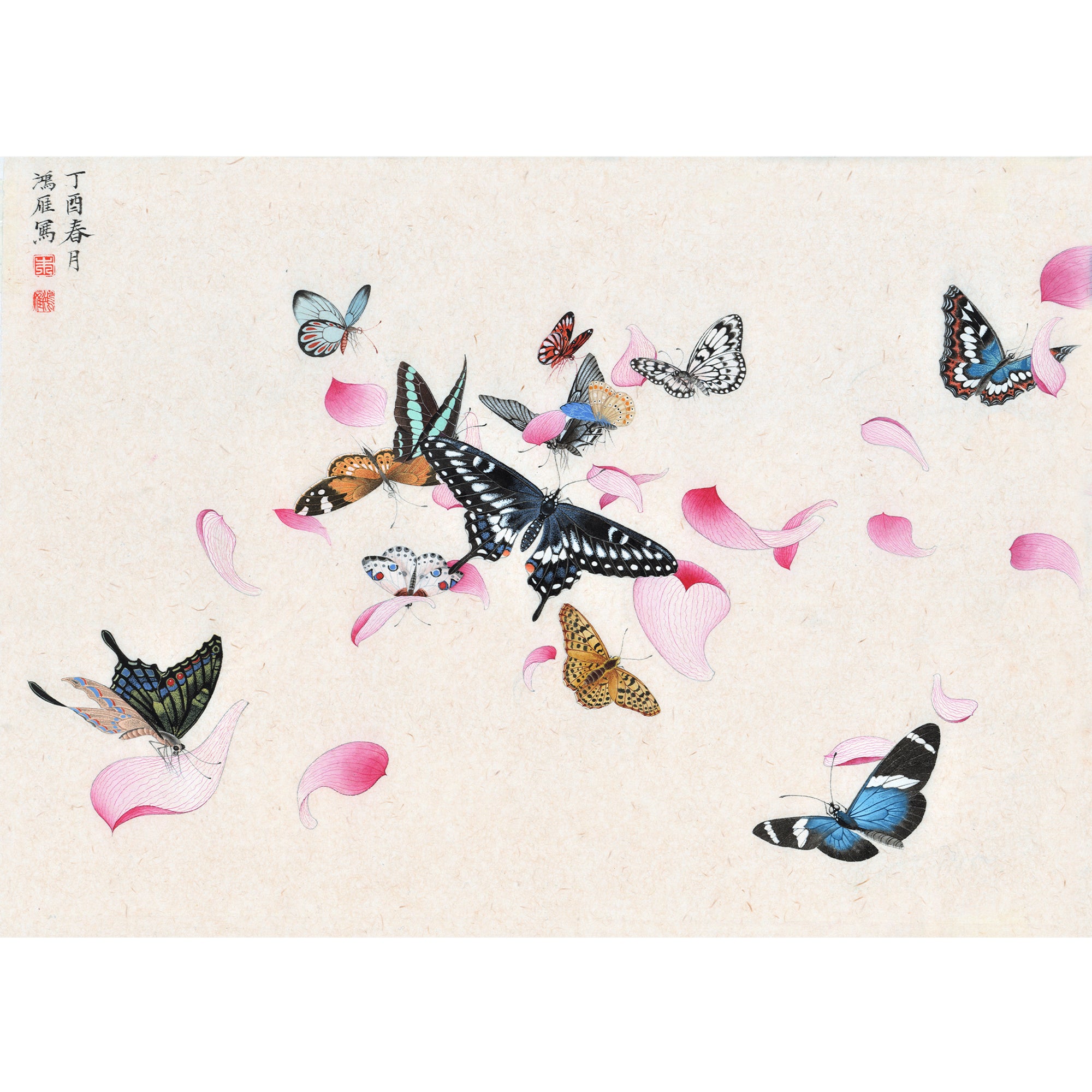 Butterflies and the Buddha&
