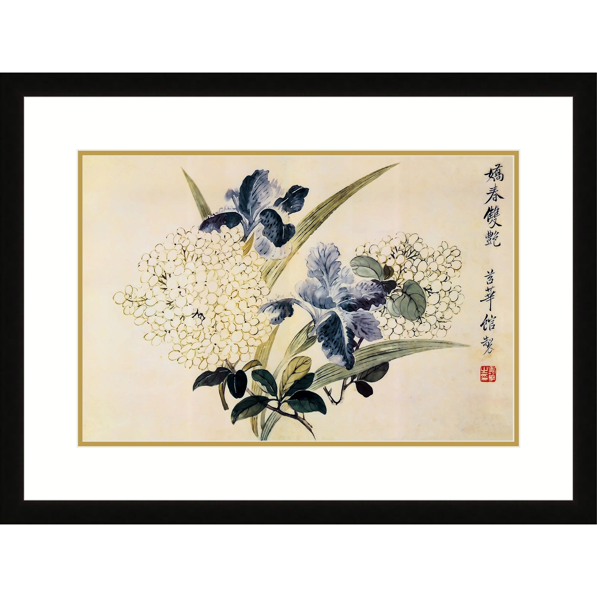Blooming Hydrangeas