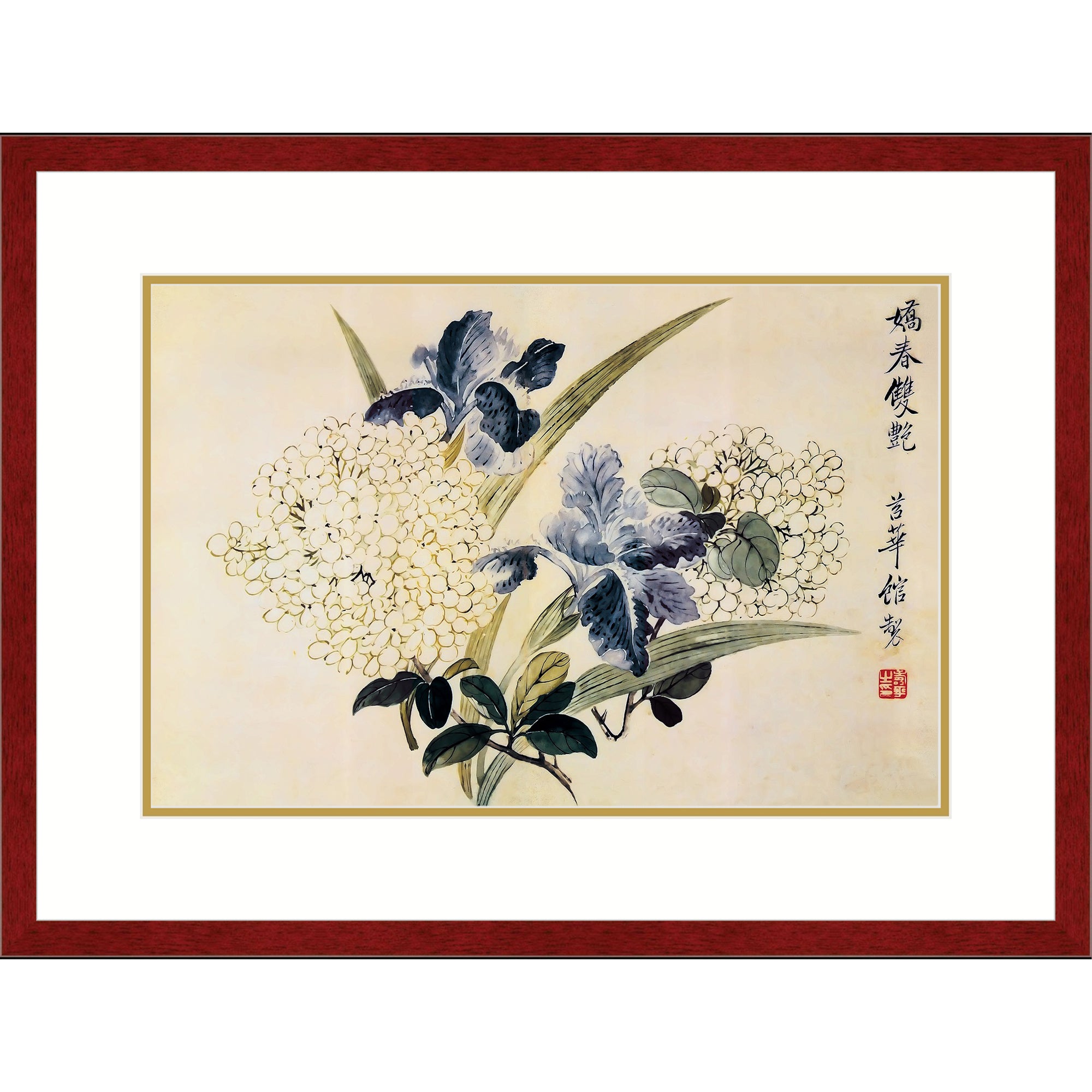 Blooming Hydrangeas
