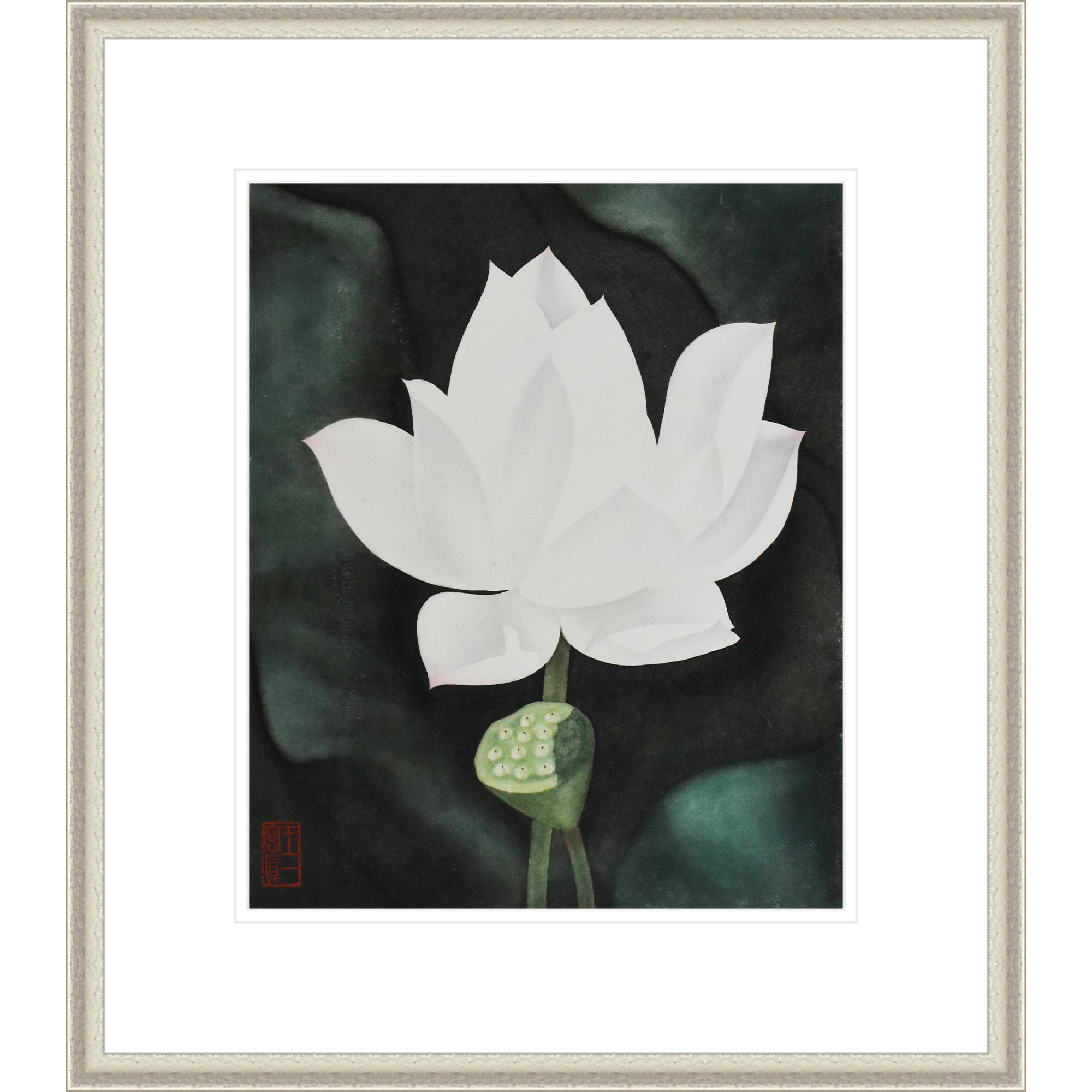 White Lotus