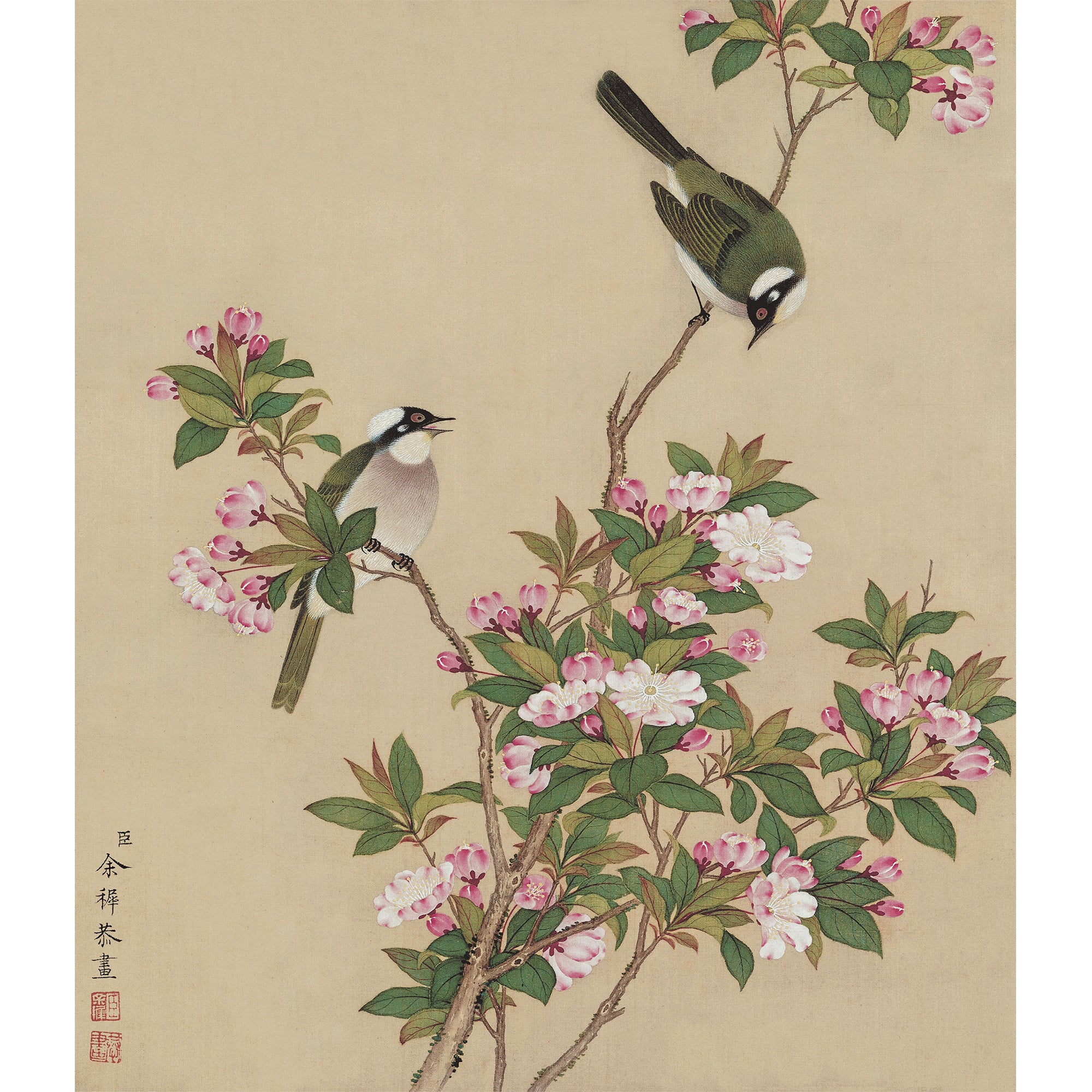 Bulbuls Amidst Peach Blossoms