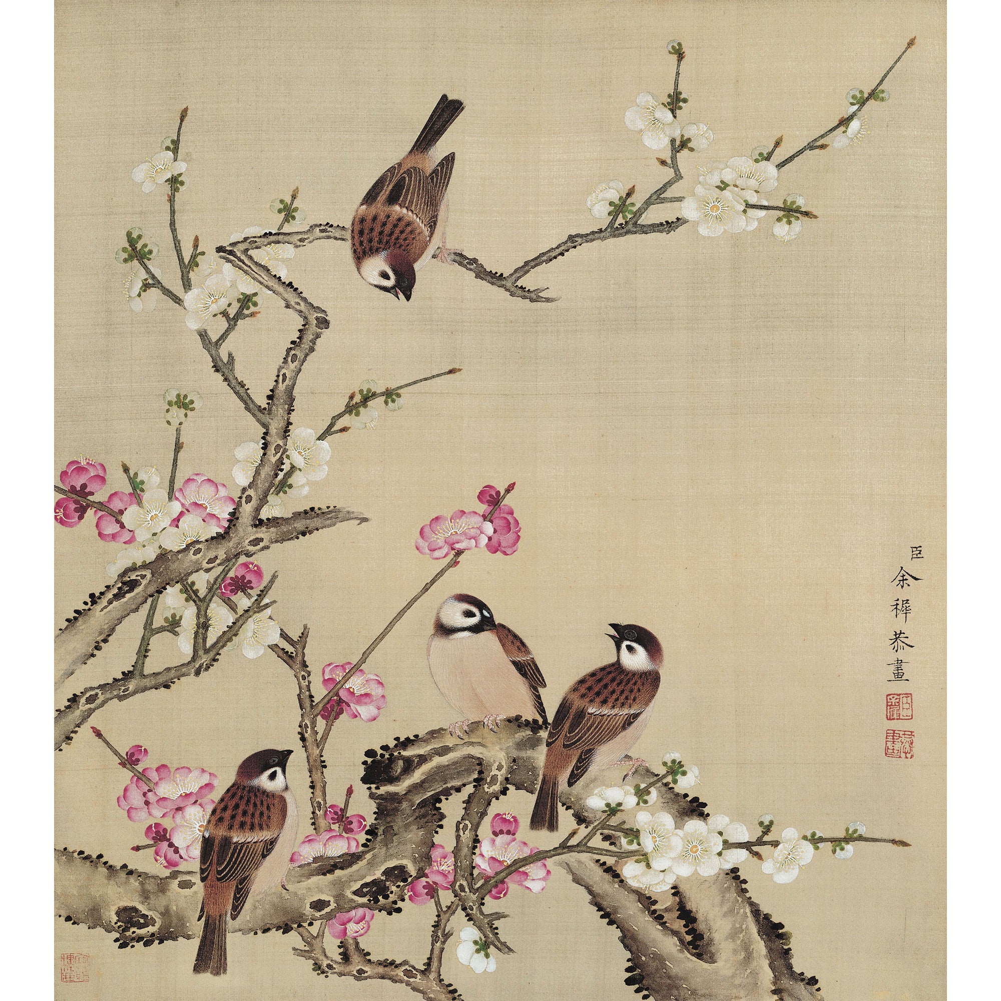 Winter Sweet flower and Sparrows