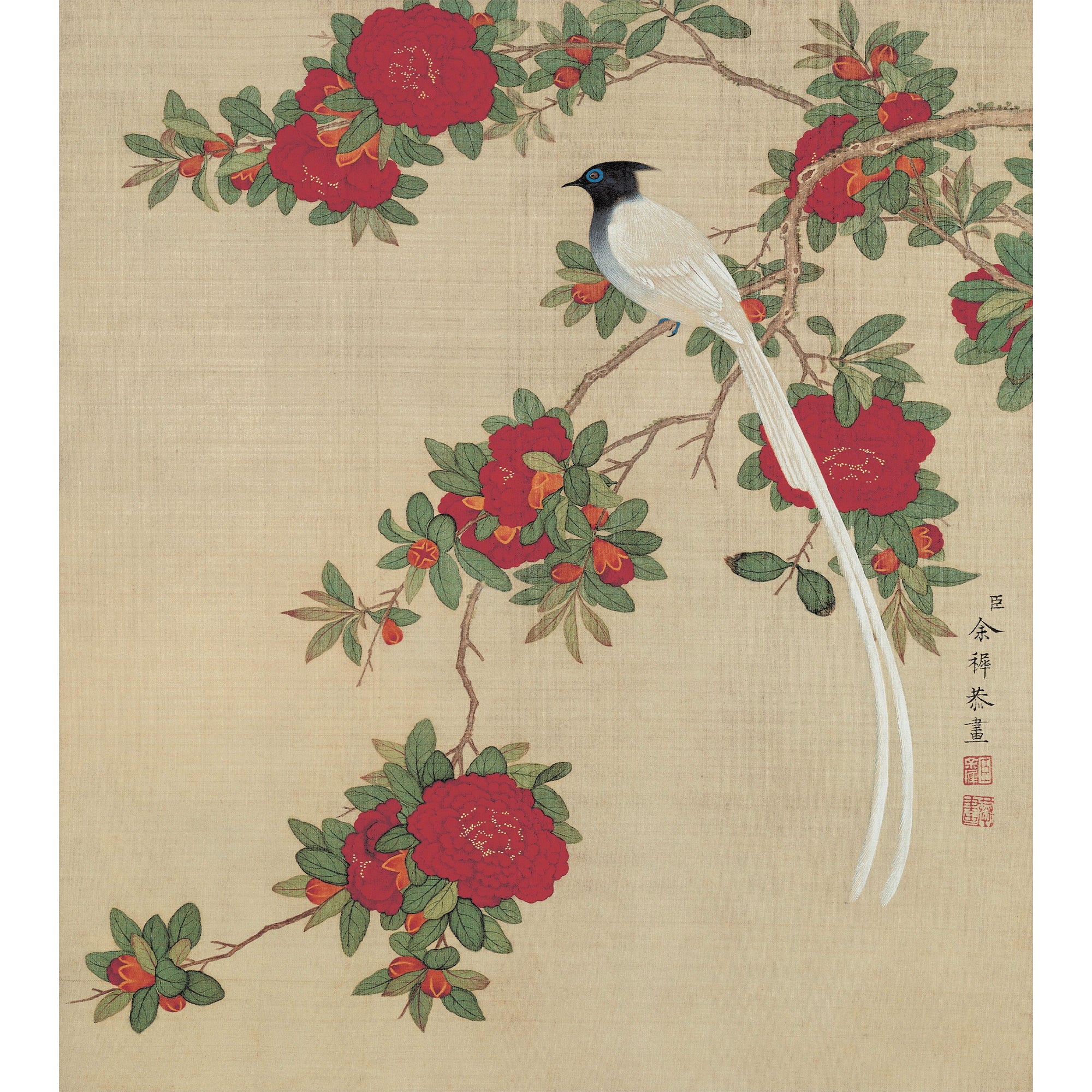 Sparrow atop Pomegranate