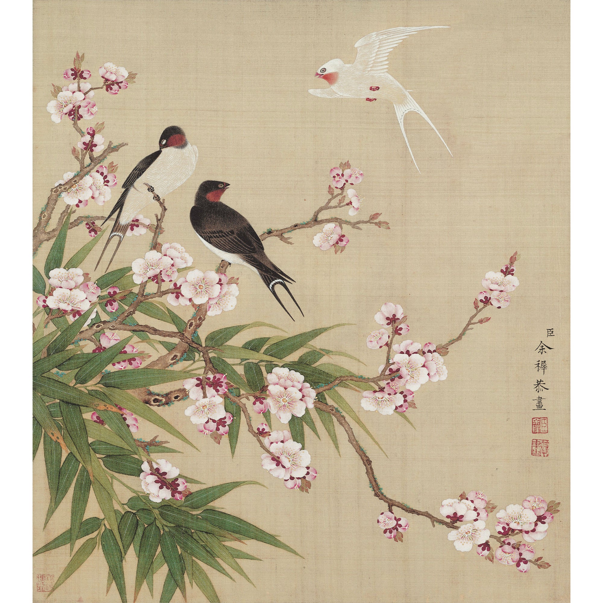 Swallows and Peach Blossoms