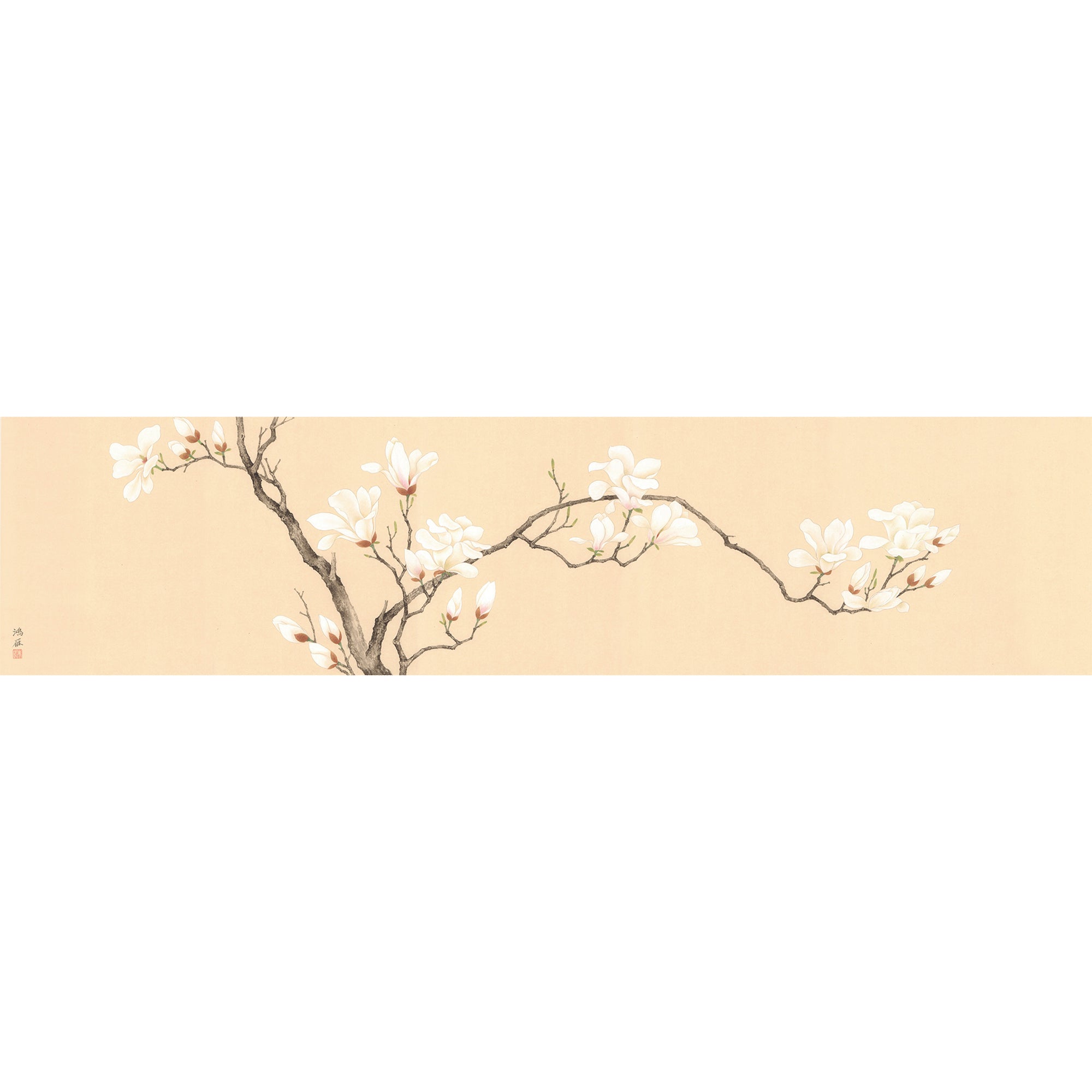 Magnolia