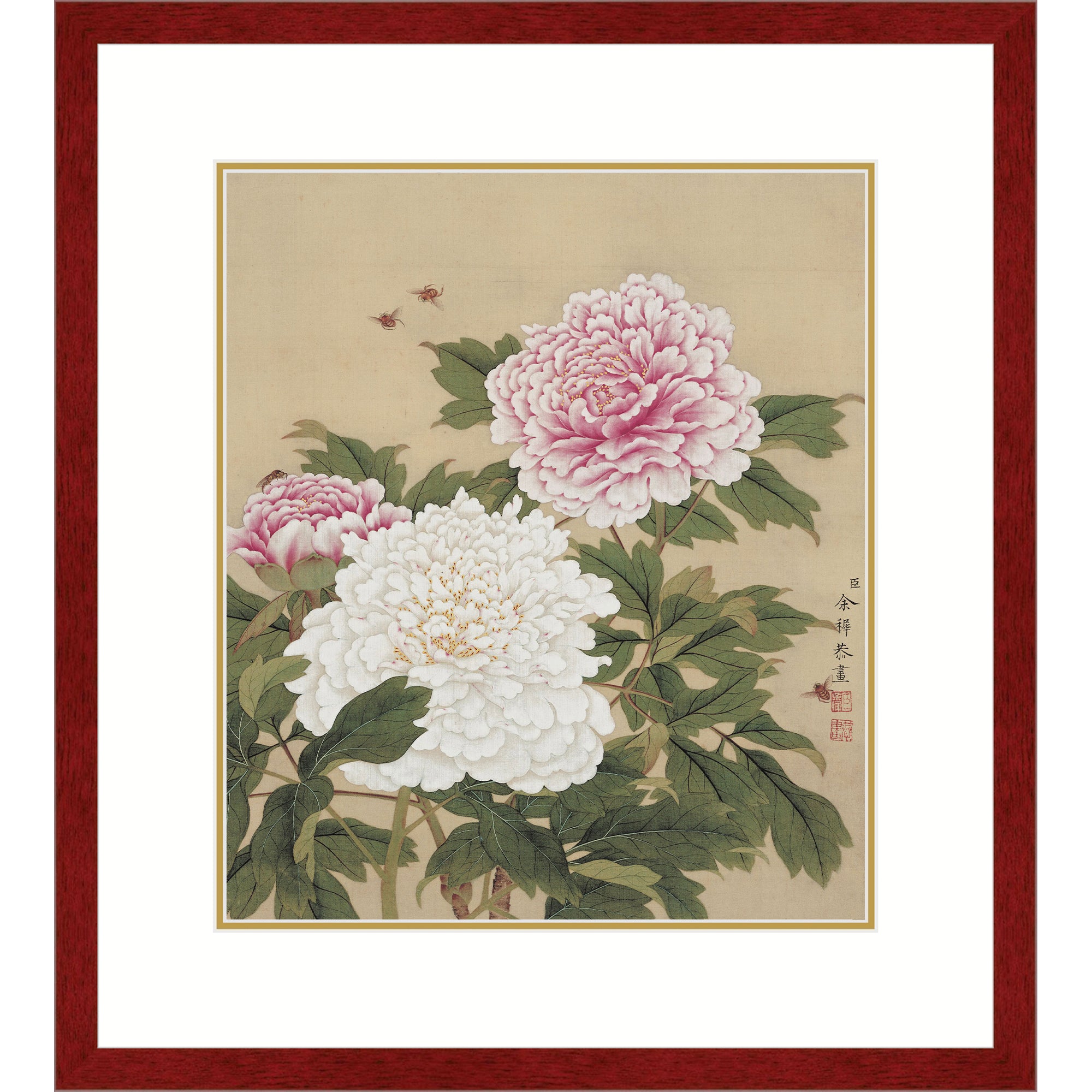 Peonies in Full Bloom