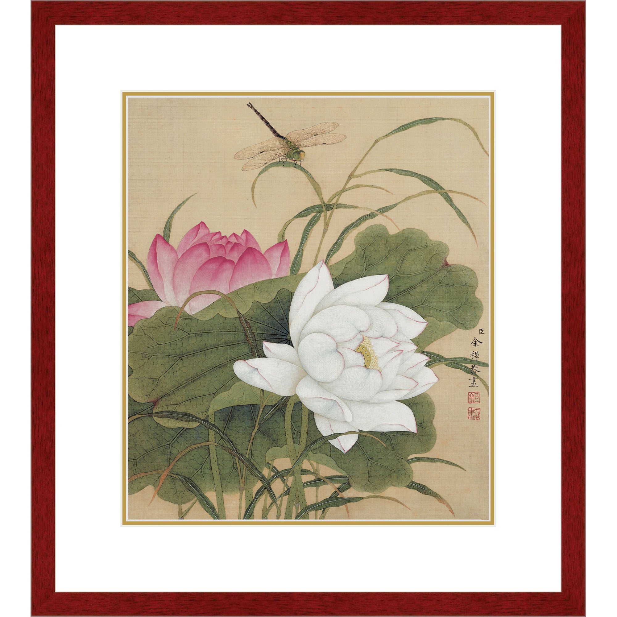 Twin Lotuses in Pond