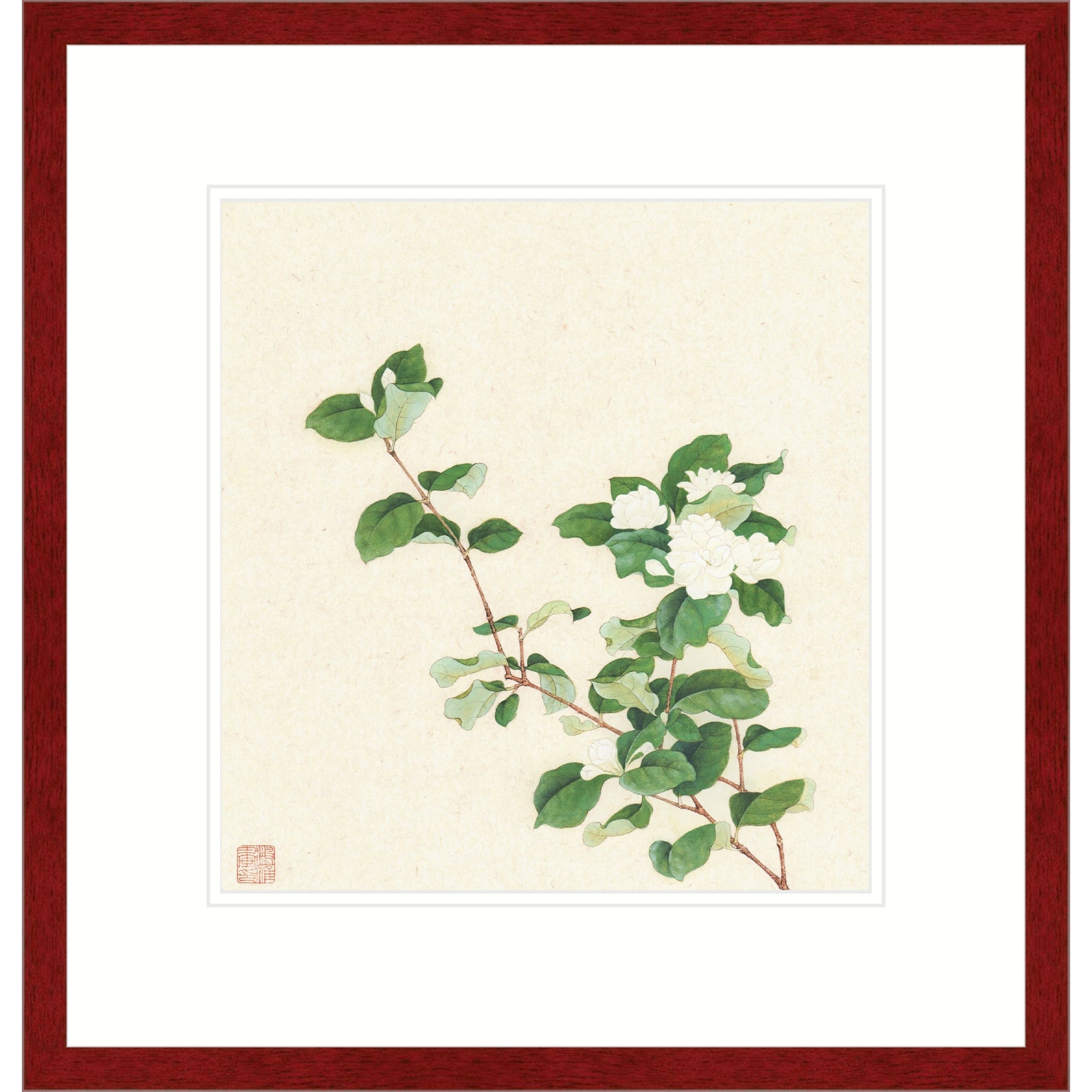 Jasmine Blossoms