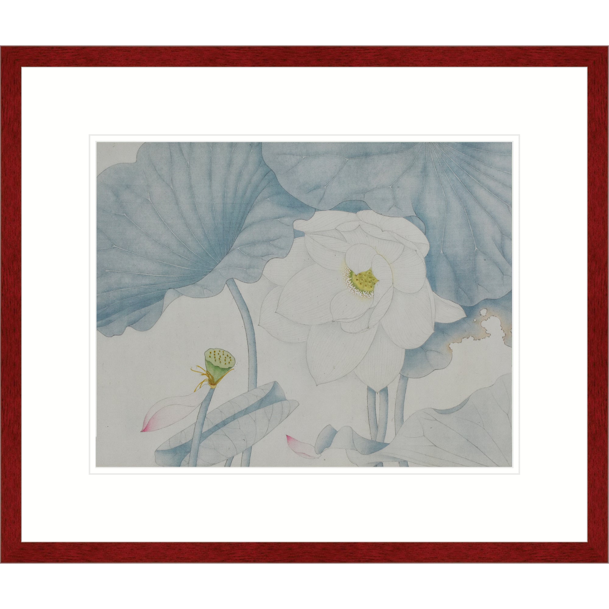 Lotus in the Mist