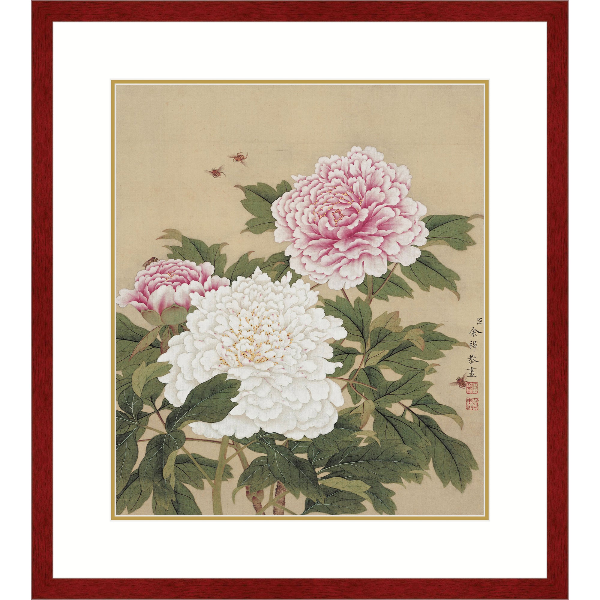 Peonies in Full Bloom