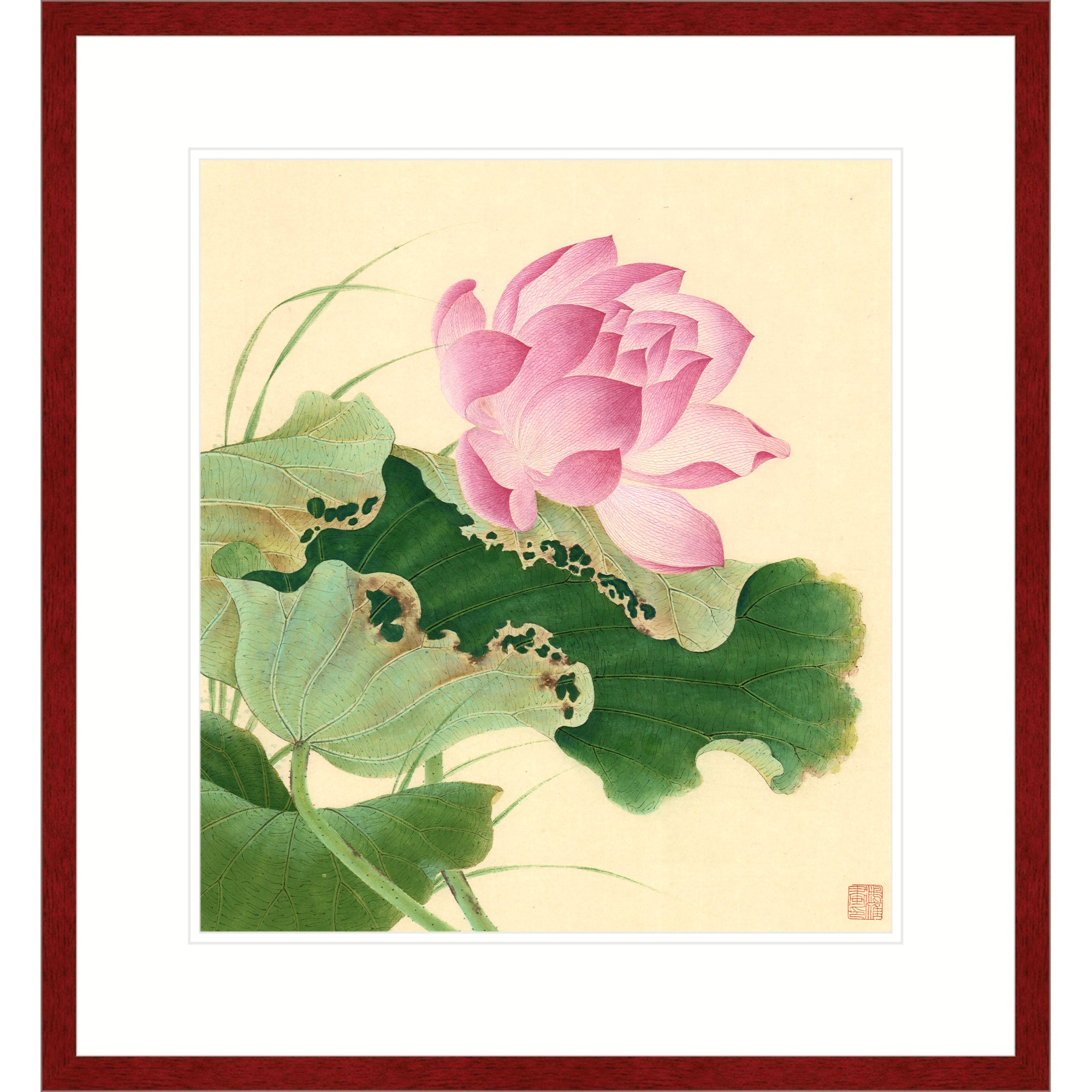 Lotus in Wind 02
