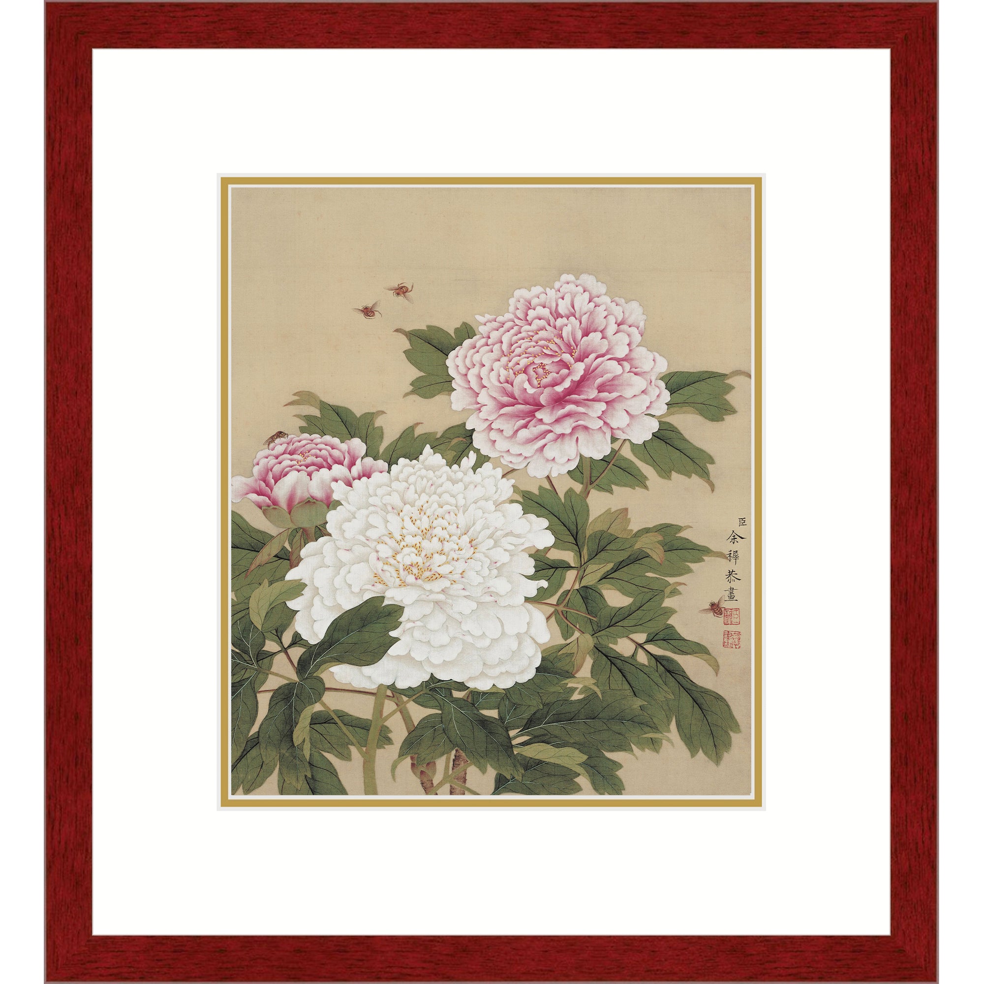 Peonies in Full Bloom